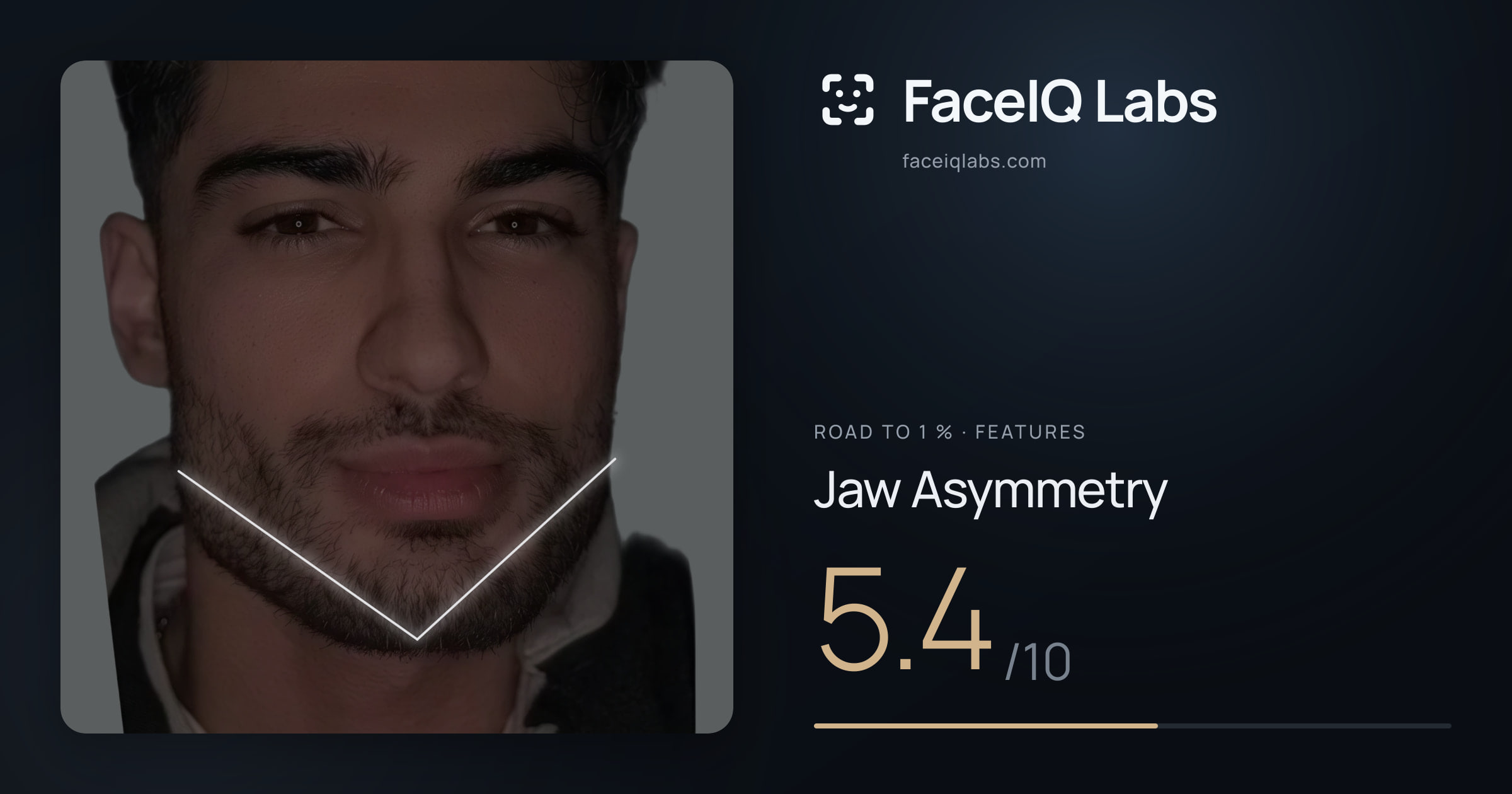 Road To 1 % Jaw Asymmetry: 5.4/10, drawn on the photo