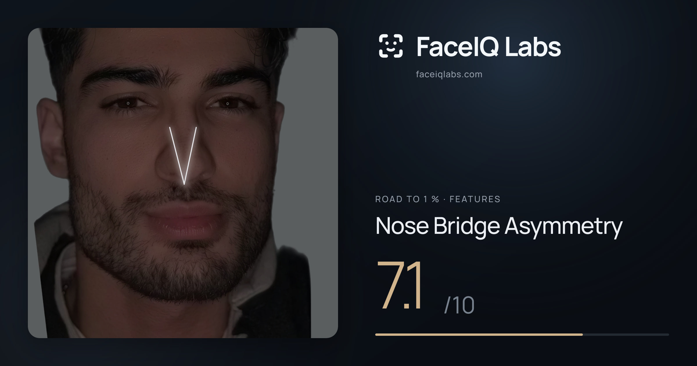 Road To 1 % Nose Bridge Asymmetry: 7.1/10, drawn on the photo