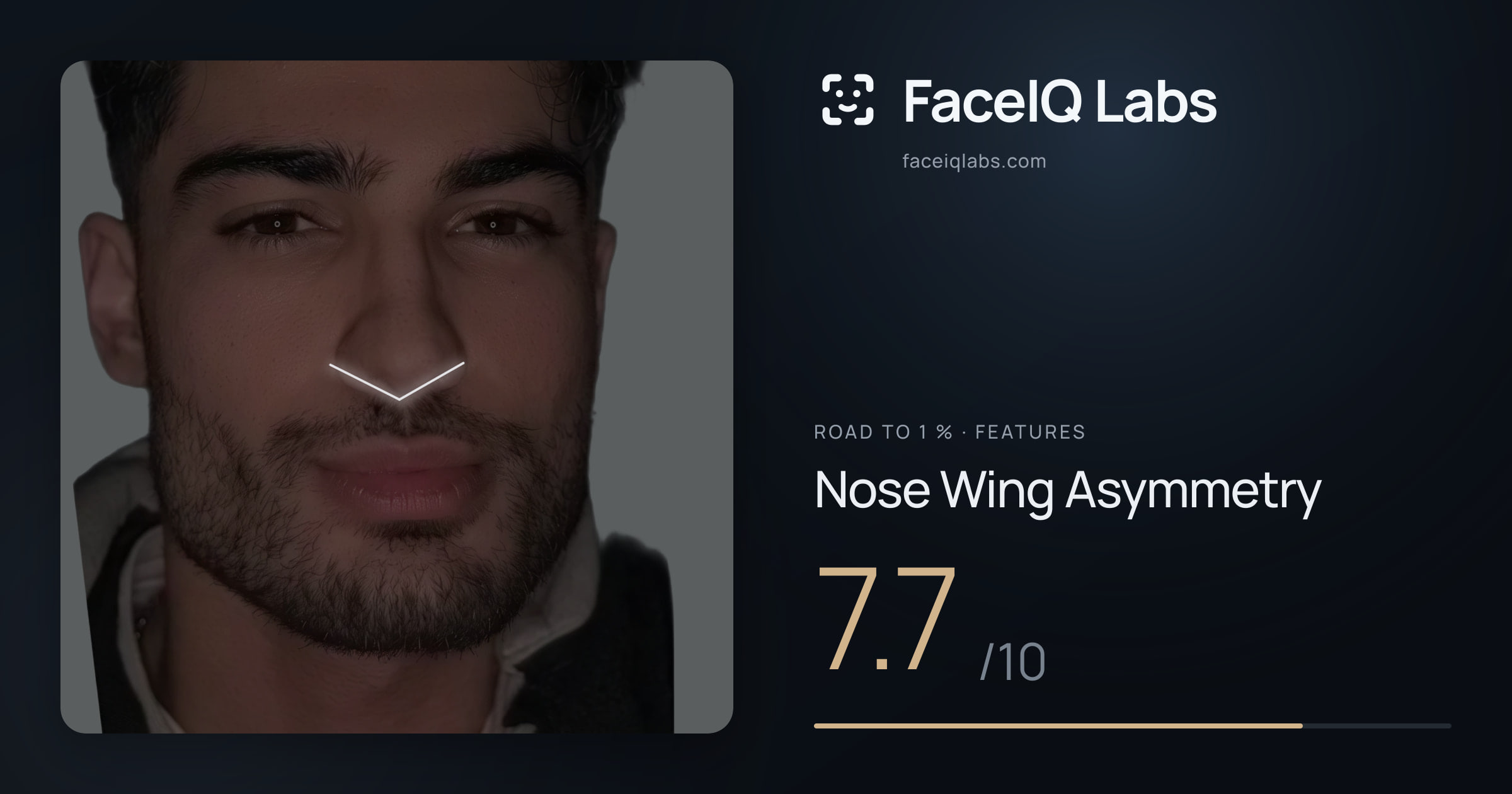 Road To 1 % Nose Wing Asymmetry: 7.7/10, drawn on the photo