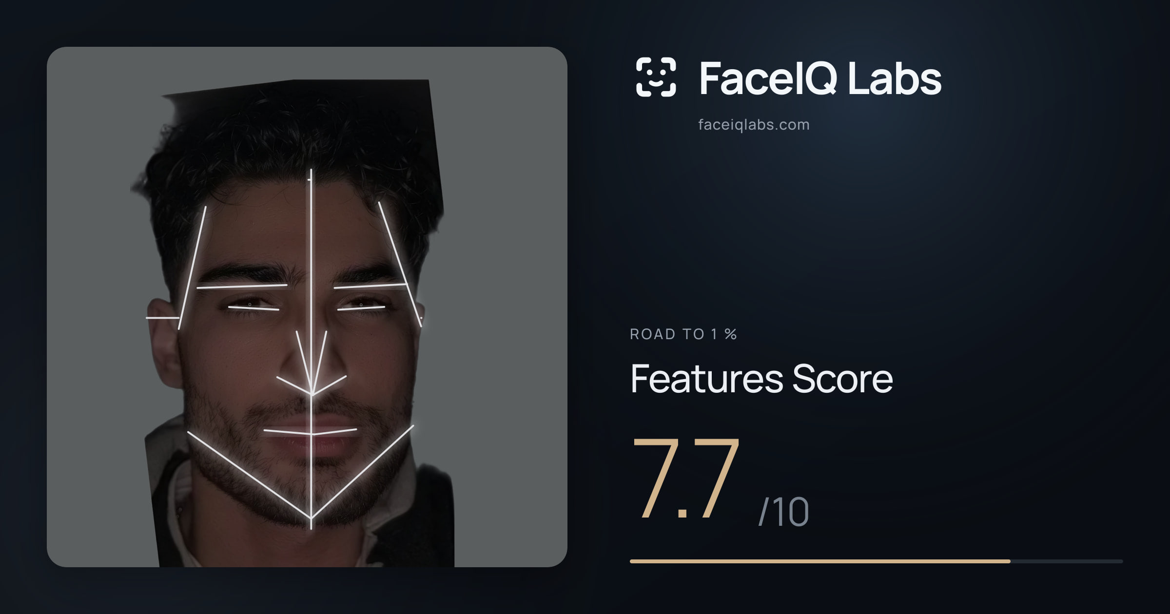 Road To 1 % Features: 7.7/10, with each assessment drawn on the photo