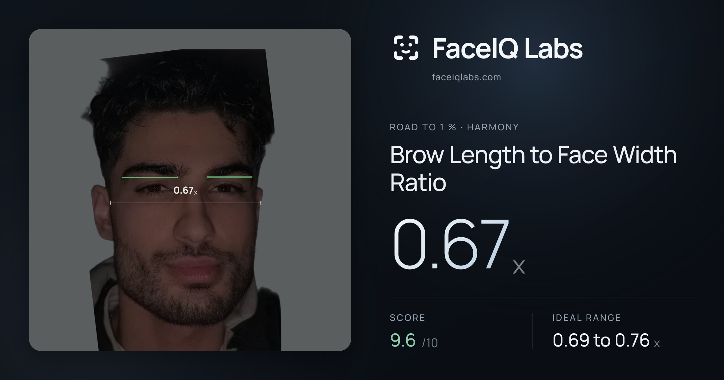 Road To 1 % Brow Length to Face Width Ratio: 0.67x, drawn on the photo