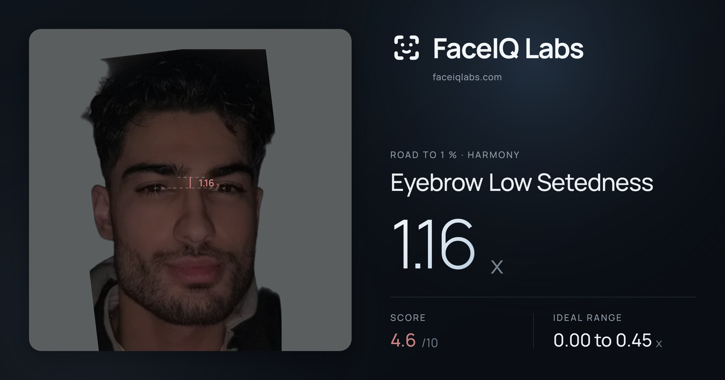 Road To 1 % Eyebrow Low Setedness: 1.16x, drawn on the photo