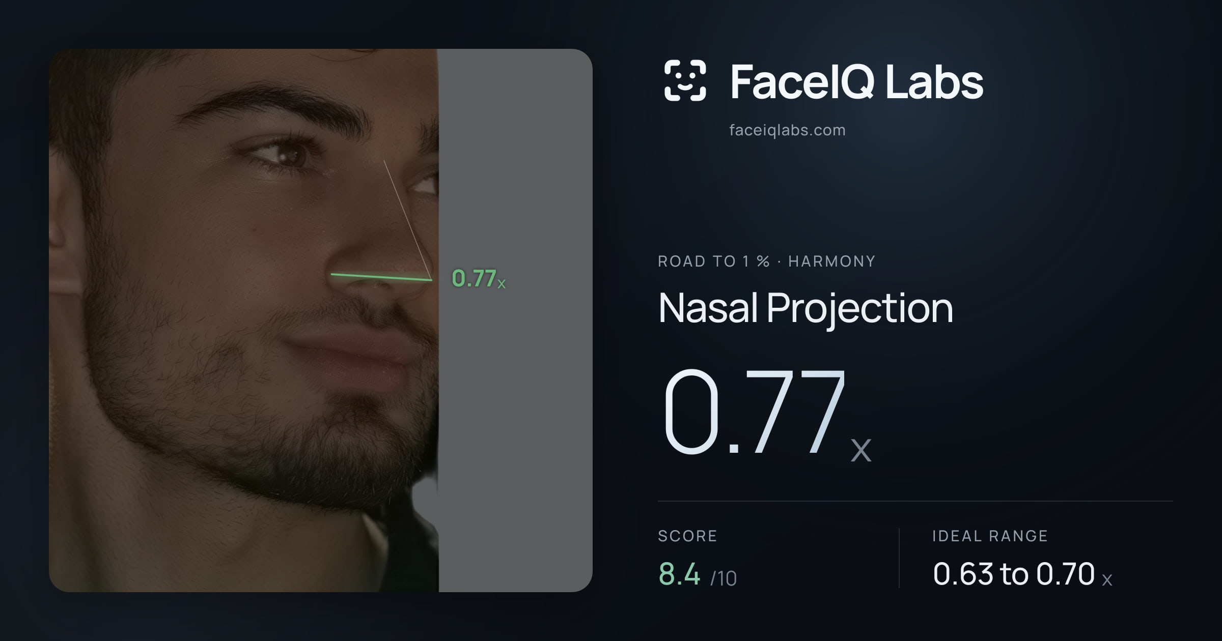 Road To 1 % Nasal Projection: 0.77x, drawn on the photo