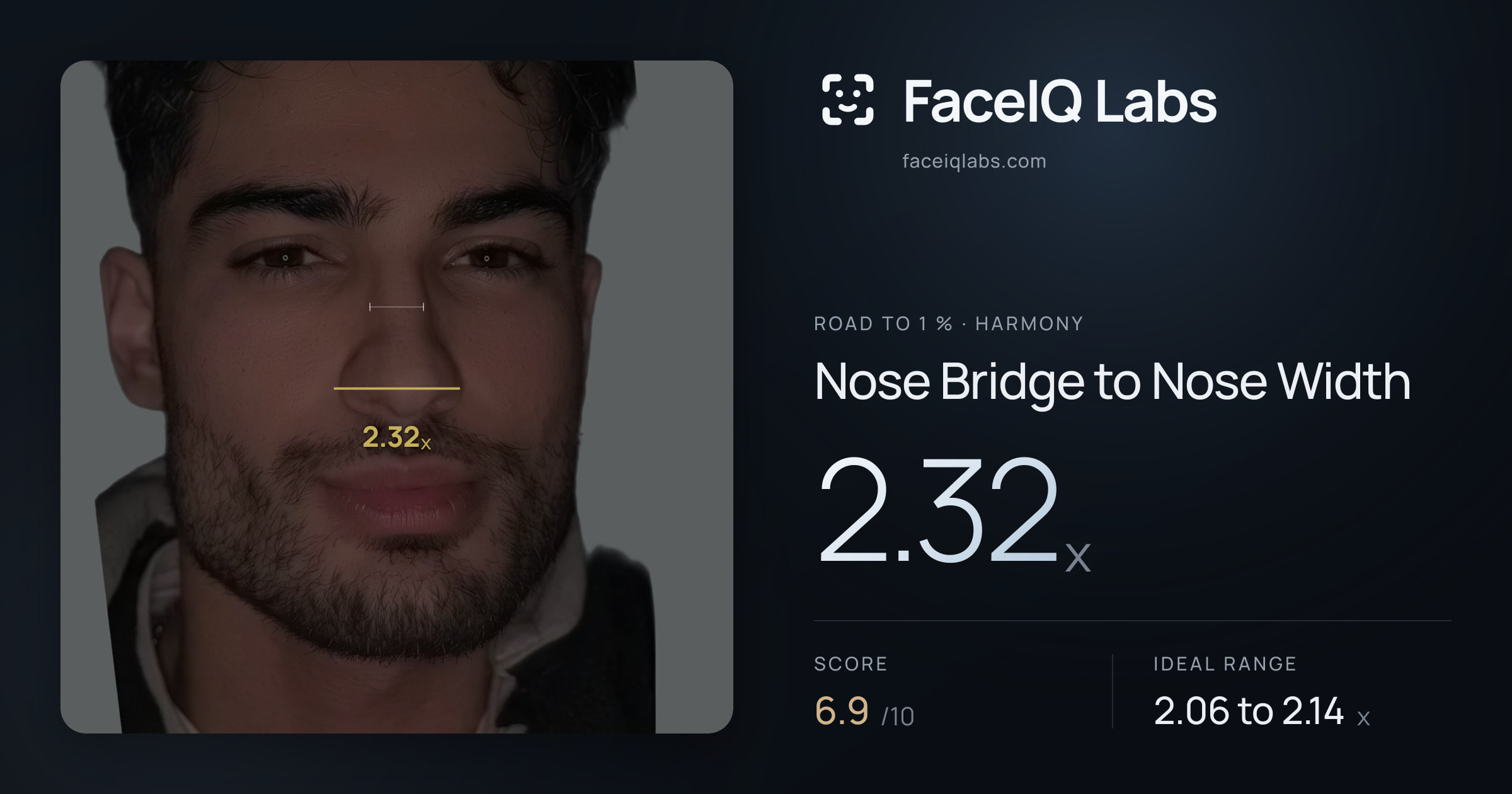 Road To 1 % Nose Bridge to Nose Width: 2.32x, drawn on the photo
