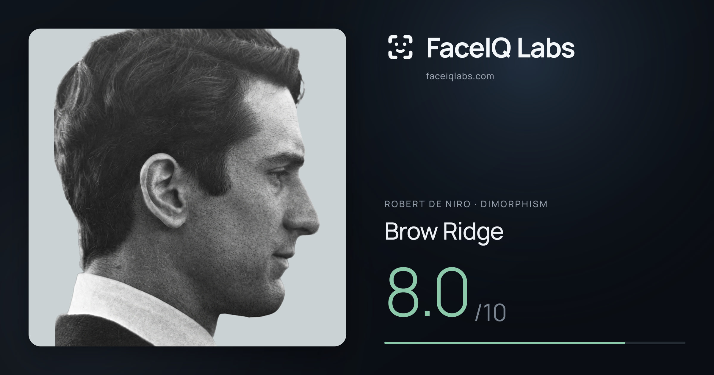 Robert De Niro Brow Ridge: 8.0/10, drawn on the photo
