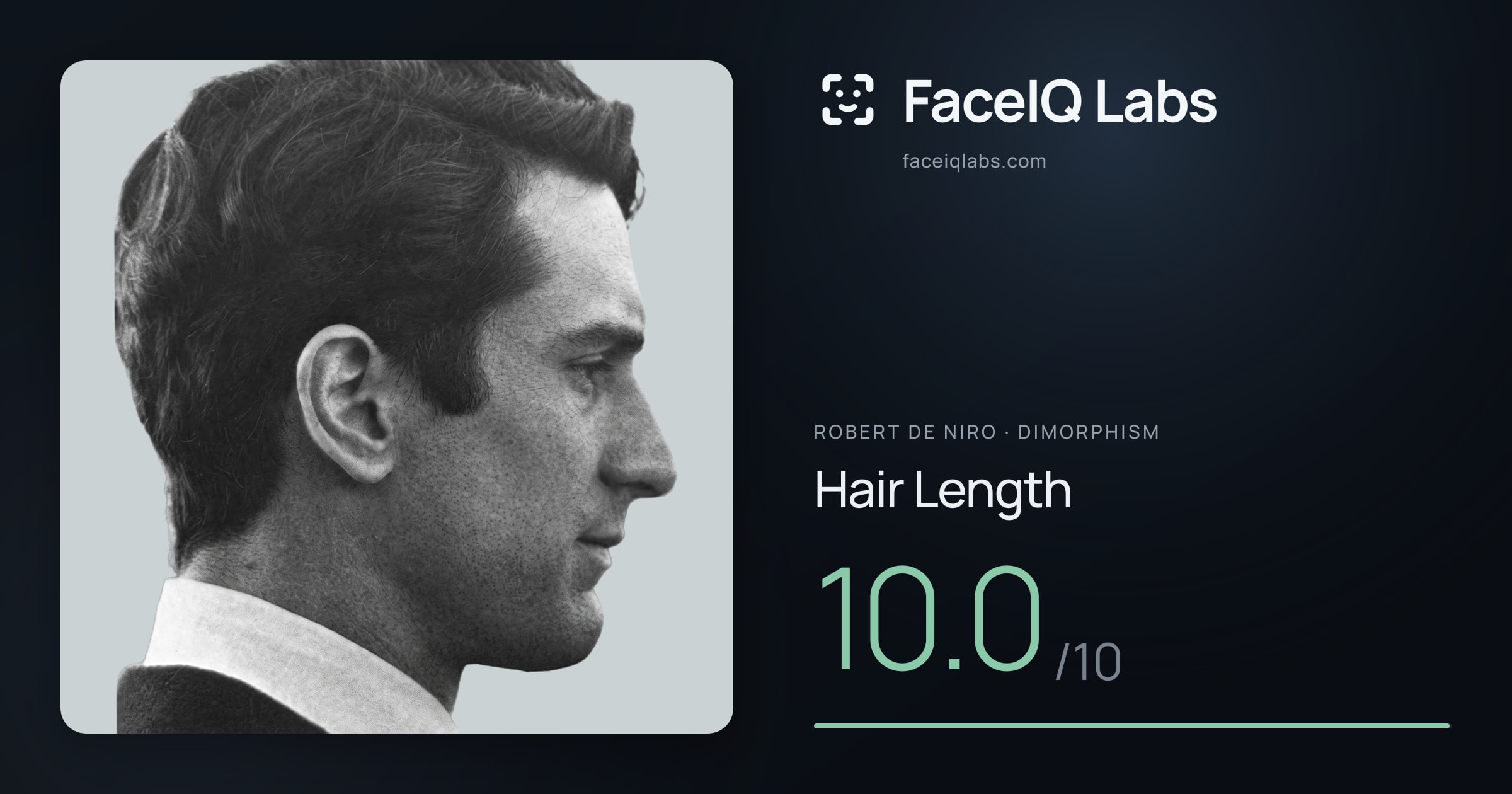 Robert De Niro Hair Length: 10.0/10, drawn on the photo