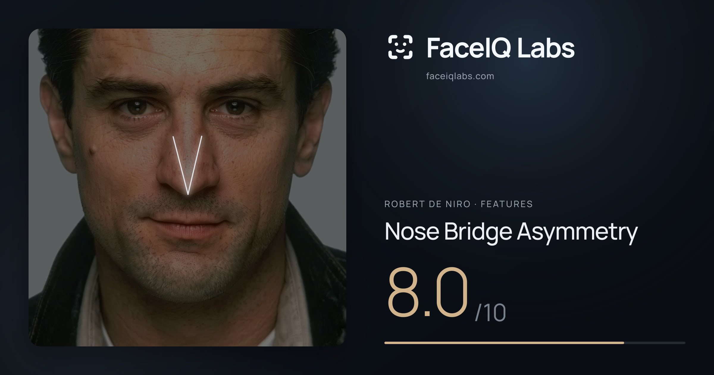 Robert De Niro Nose Bridge Asymmetry: 8.0/10, drawn on the photo