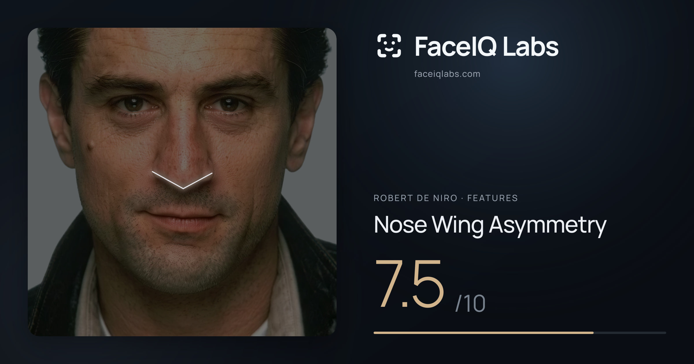 Robert De Niro Nose Wing Asymmetry: 7.5/10, drawn on the photo