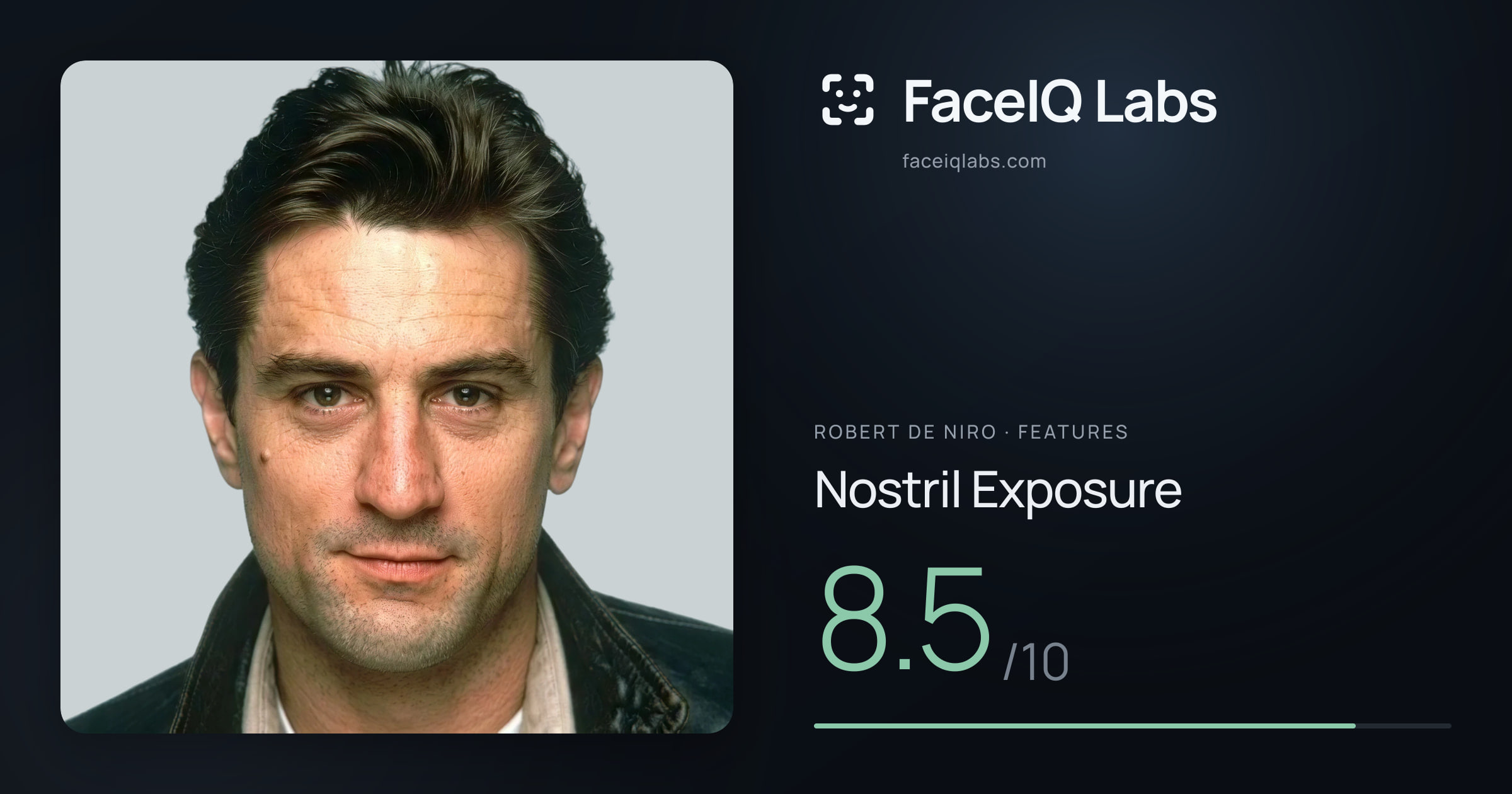 Robert De Niro Nostril Exposure: 8.5/10, drawn on the photo