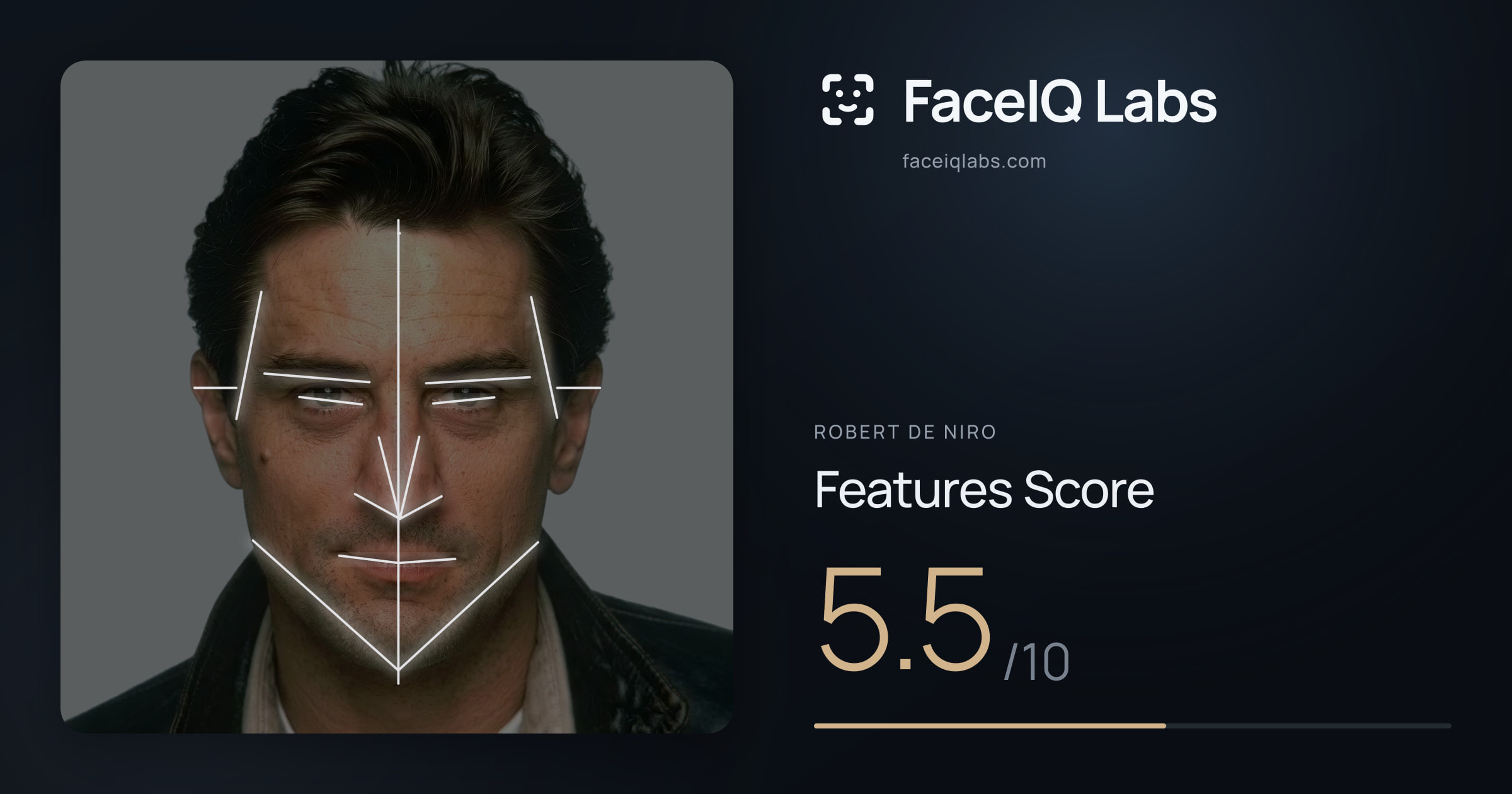 Robert De Niro Features: 5.5/10, with each assessment drawn on the photo