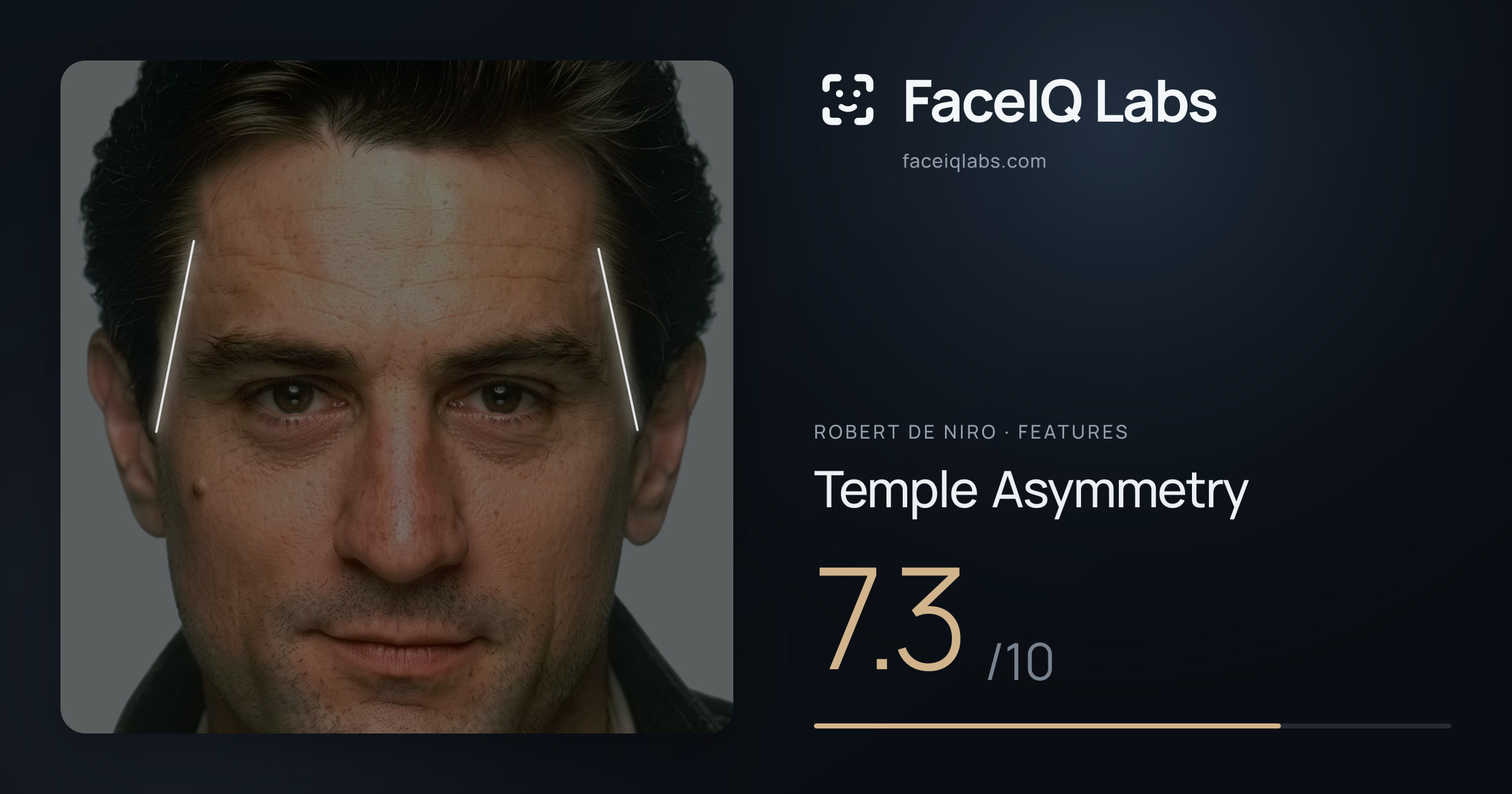 Robert De Niro Temple Asymmetry: 7.3/10, drawn on the photo