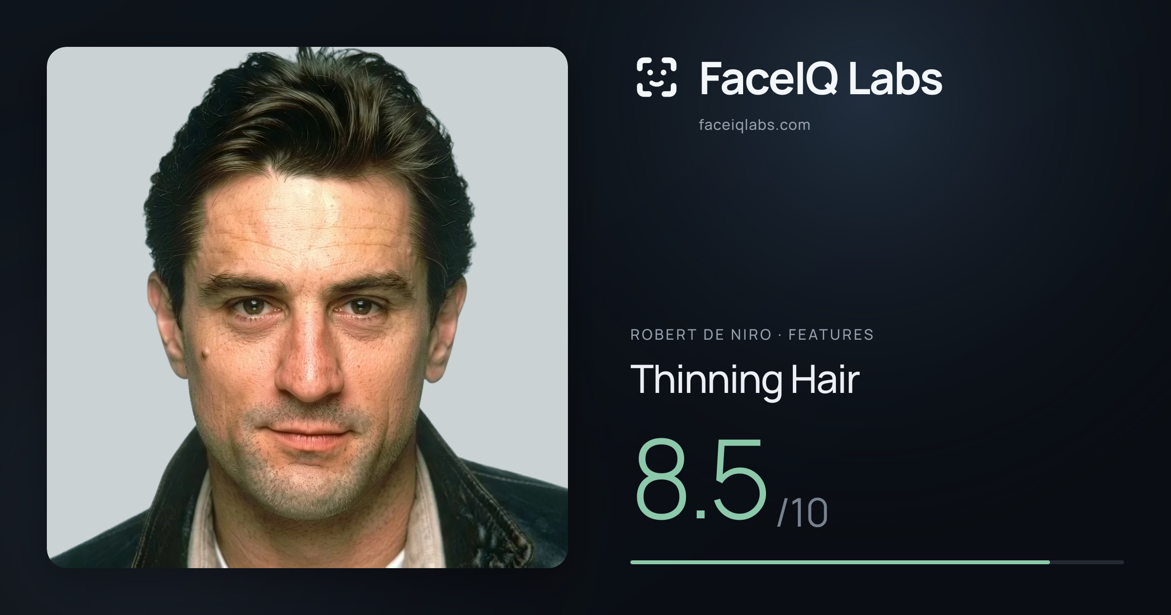 Robert De Niro Thinning Hair: 8.5/10, drawn on the photo