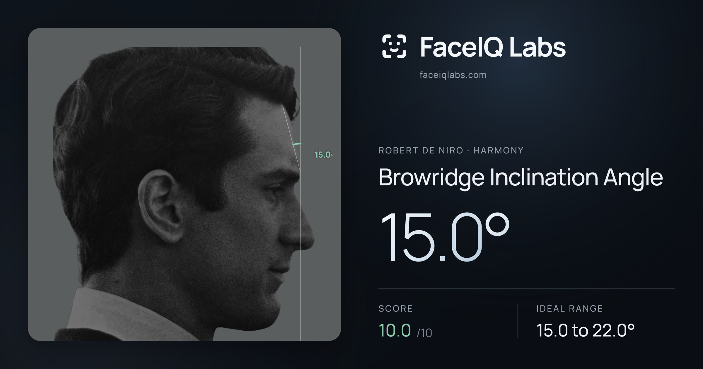 Robert De Niro Browridge Inclination Angle: 15.0°, drawn on the photo