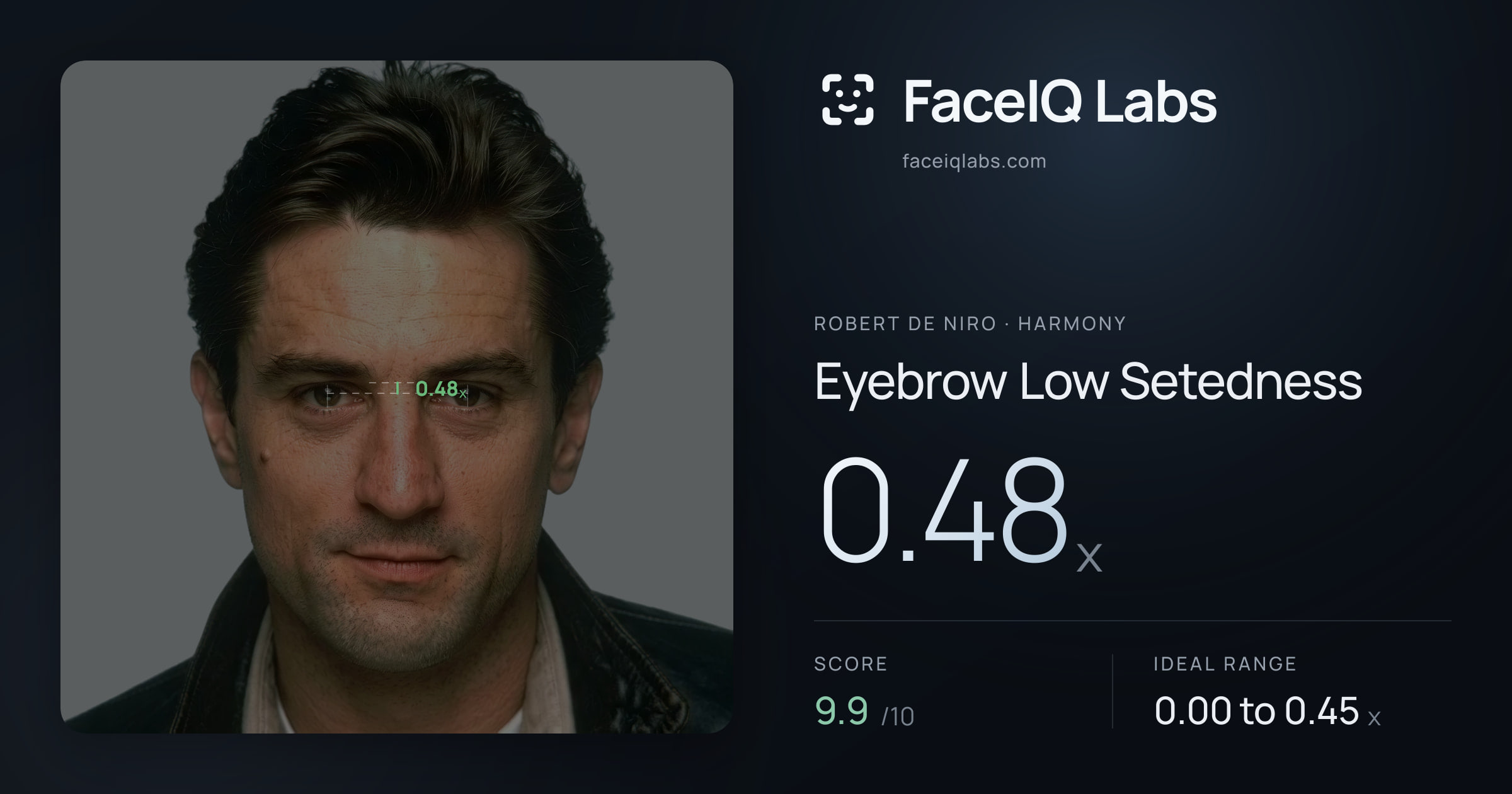 Robert De Niro Eyebrow Low Setedness: 0.48x, drawn on the photo
