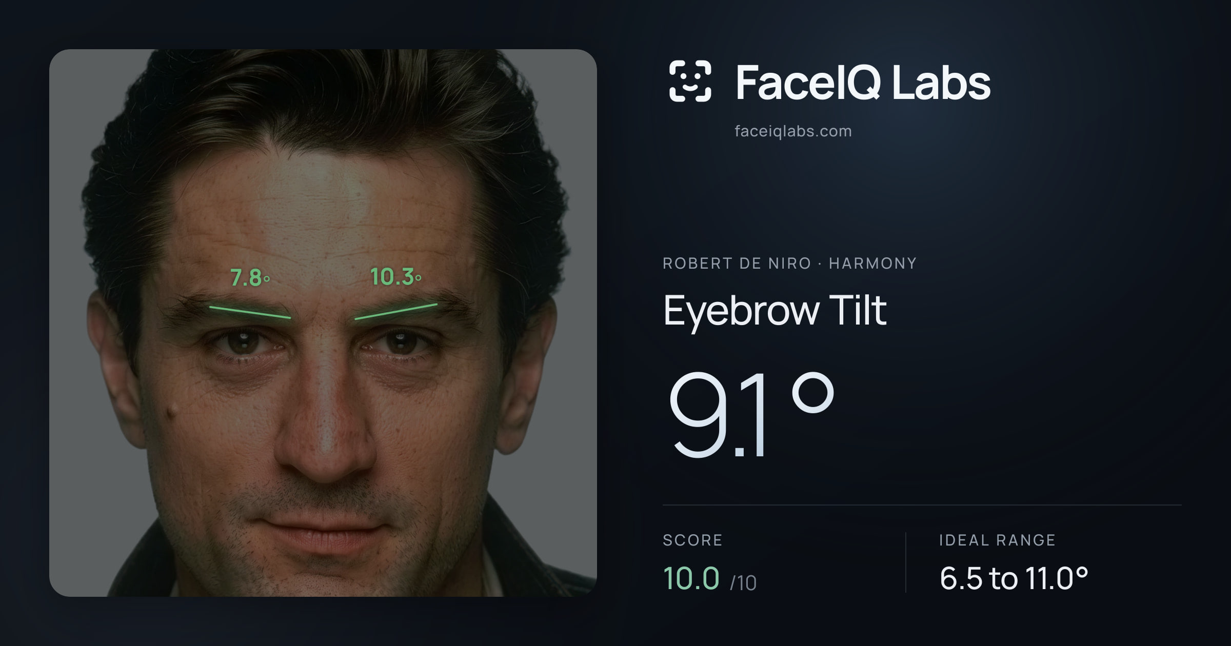 Robert De Niro Eyebrow Tilt: 9.1°, drawn on the photo