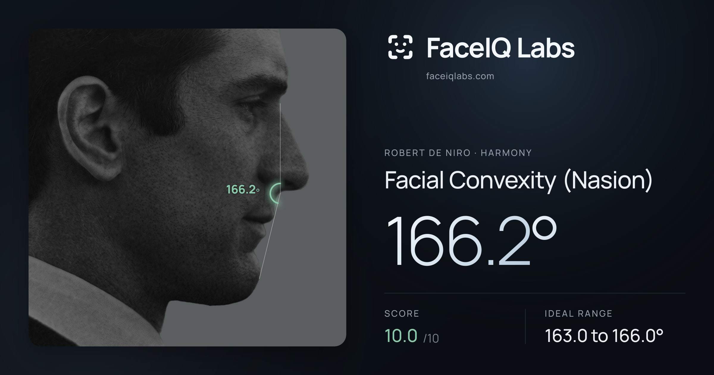Robert De Niro Facial Convexity (Nasion): 166.2°, drawn on the photo