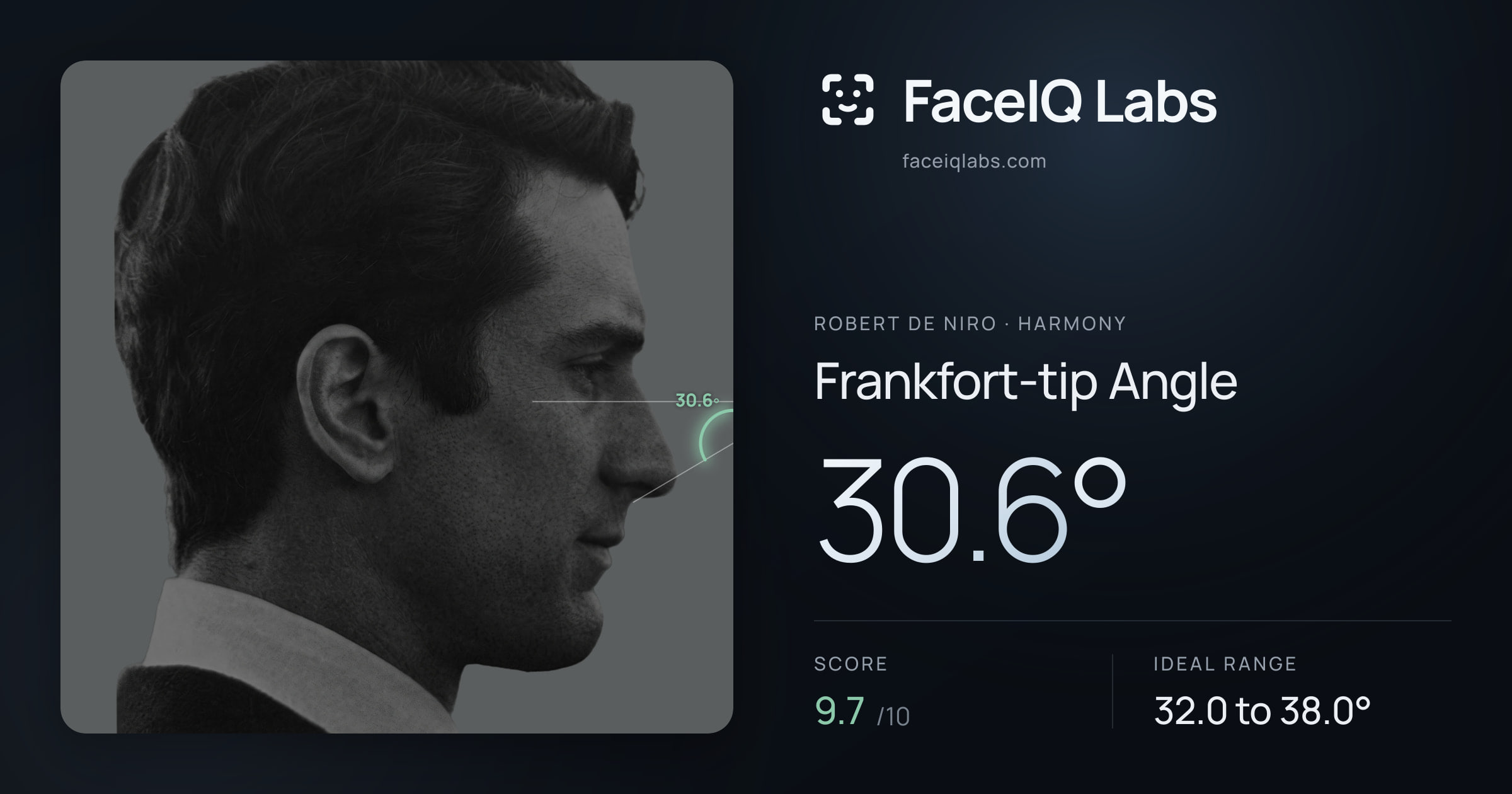 Robert De Niro Frankfort-tip Angle: 30.6°, drawn on the photo