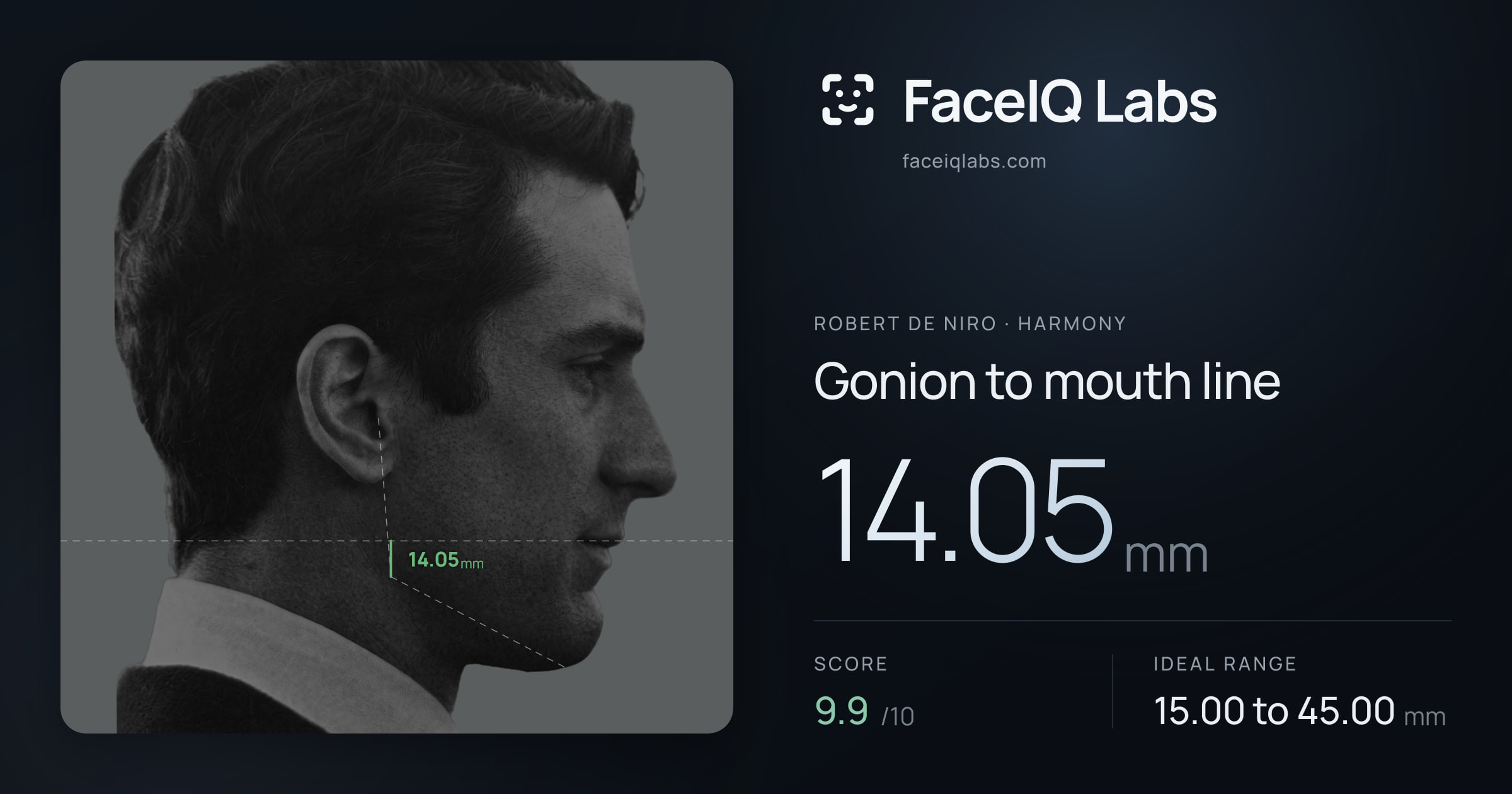 Robert De Niro Gonion to mouth line: 14.05mm, drawn on the photo