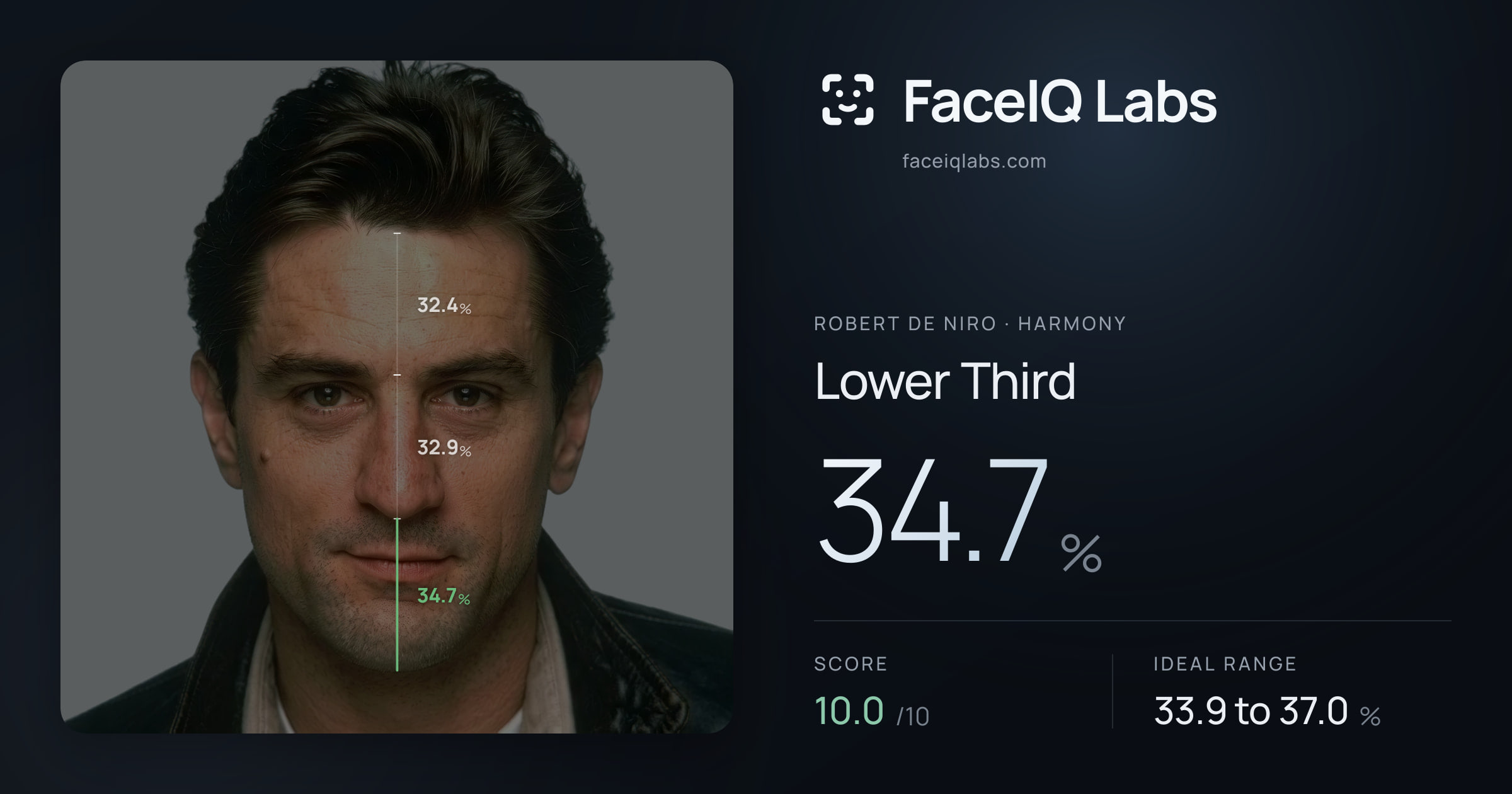 Robert De Niro Lower Third: 34.7%, drawn on the photo