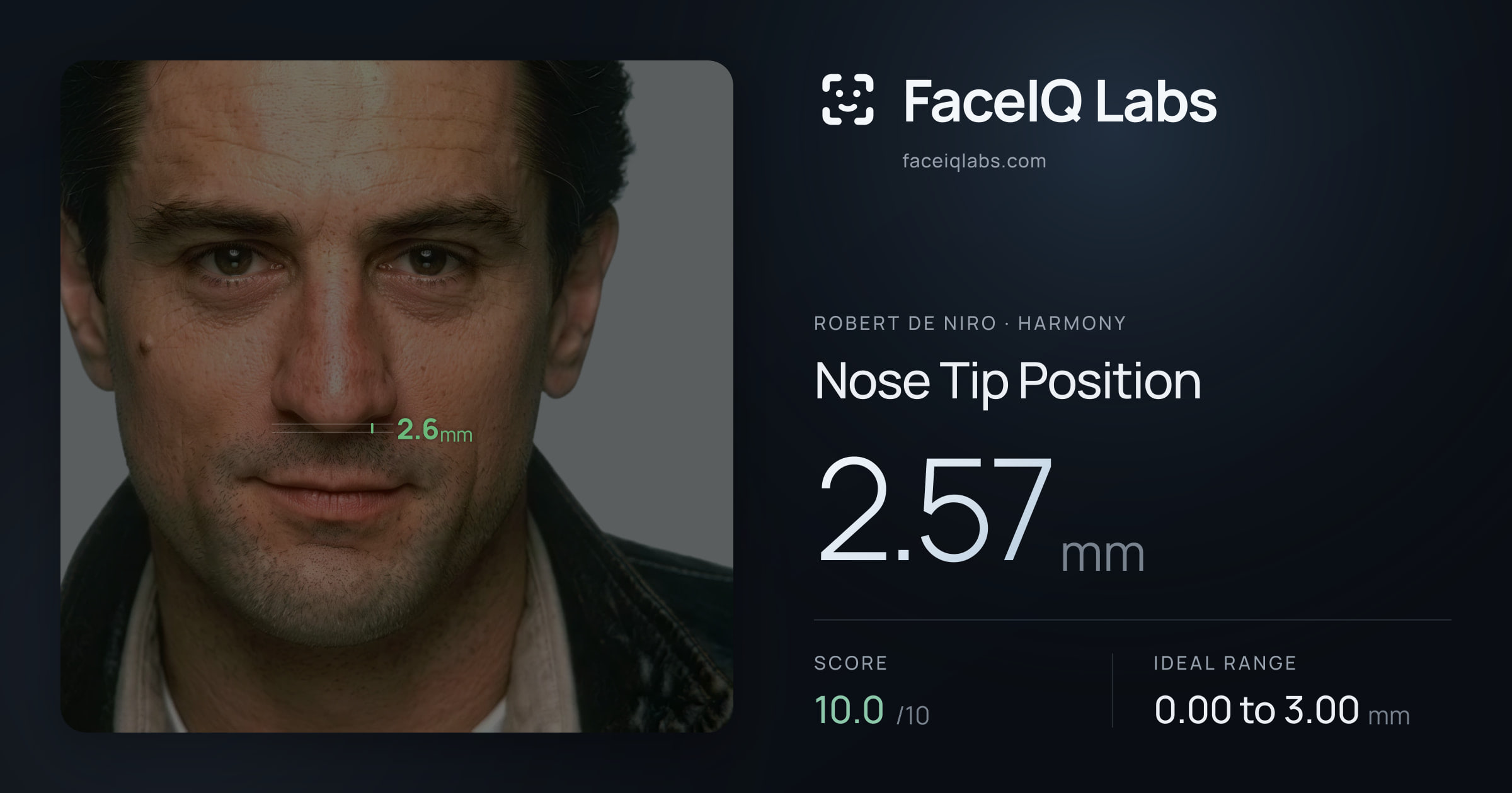 Robert De Niro Nose Tip Position: 2.57mm, drawn on the photo