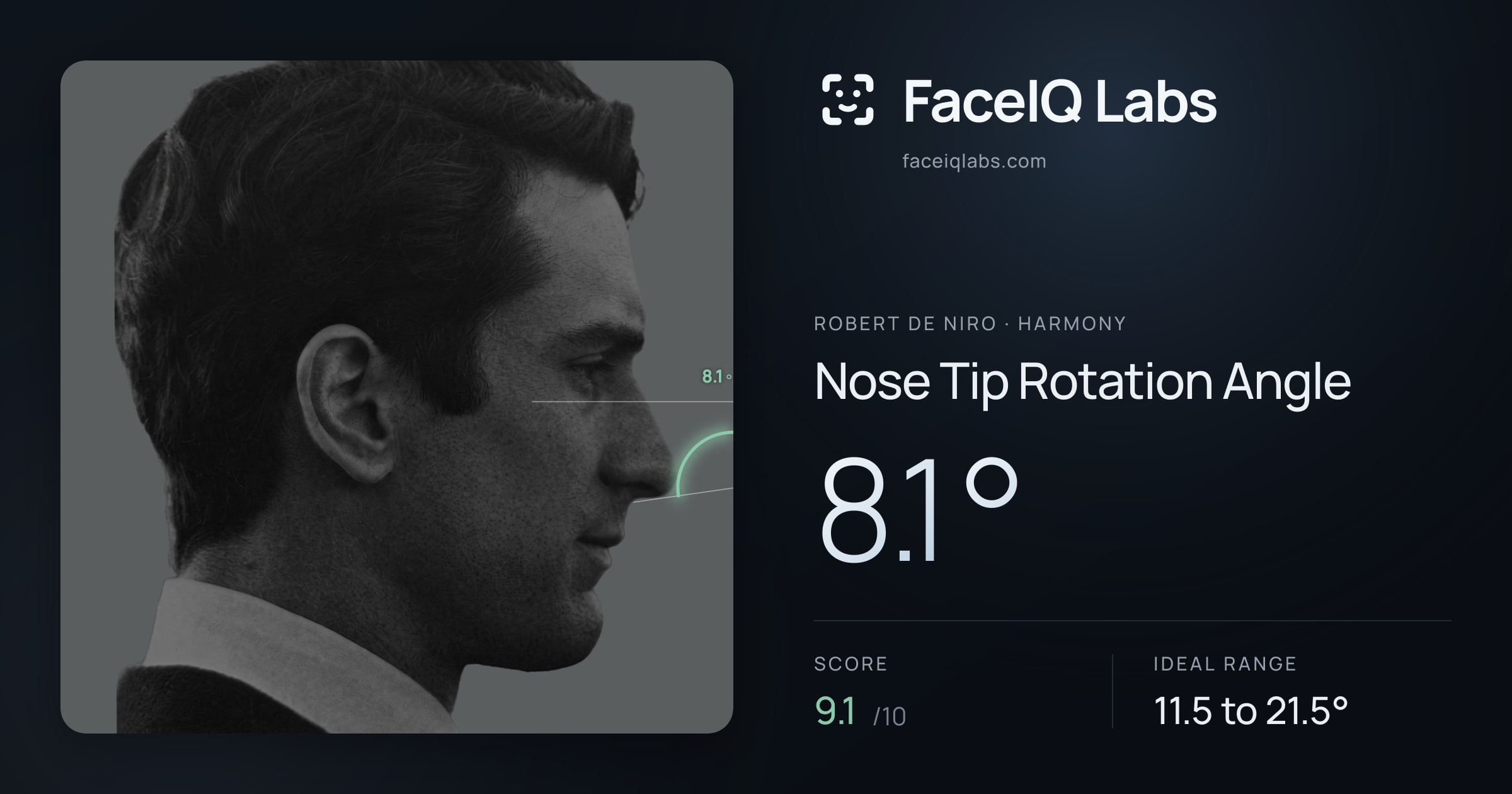 Robert De Niro Nose Tip Rotation Angle: 8.1°, drawn on the photo