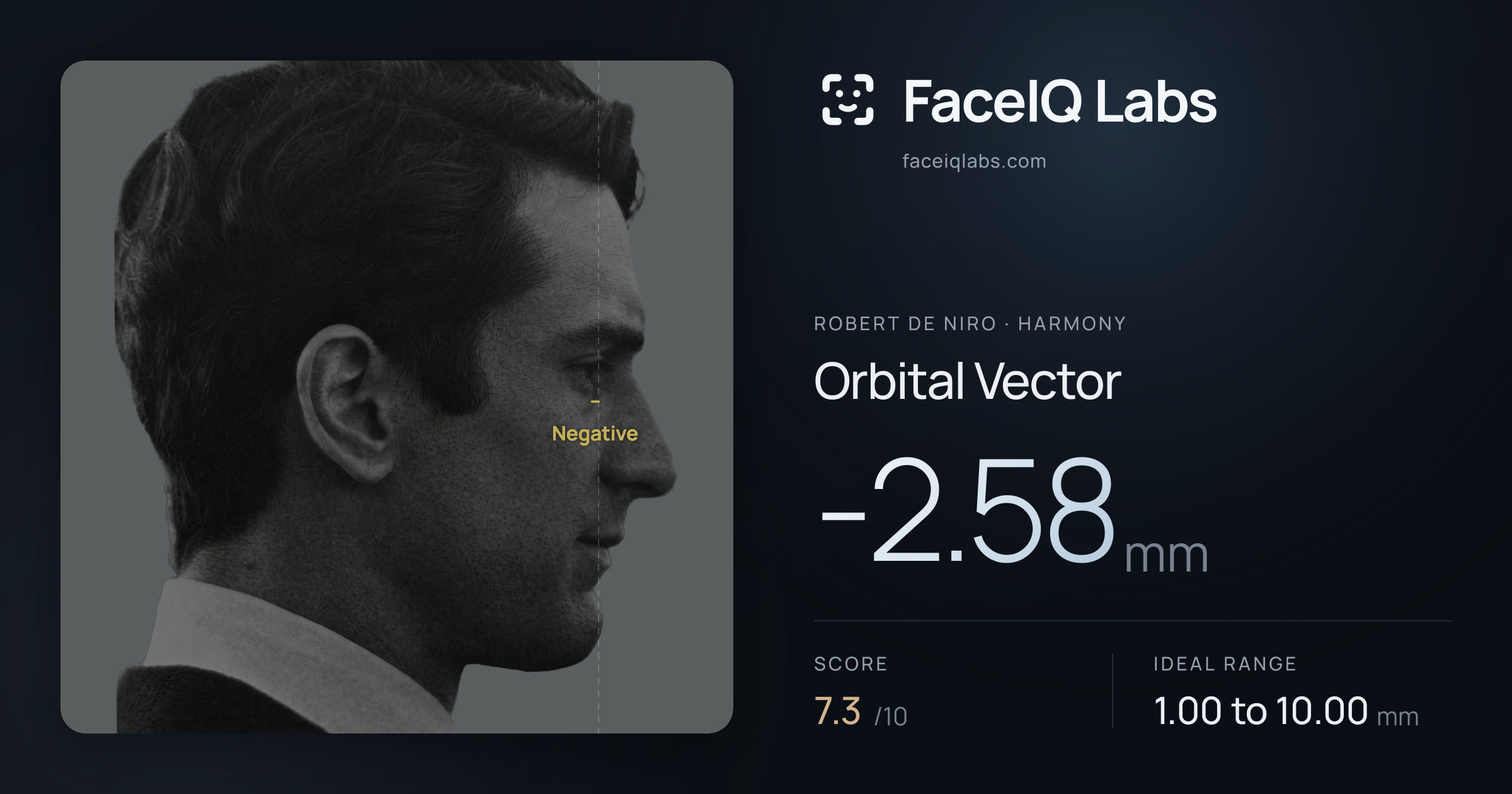 Robert De Niro Orbital Vector: -2.58mm, drawn on the photo