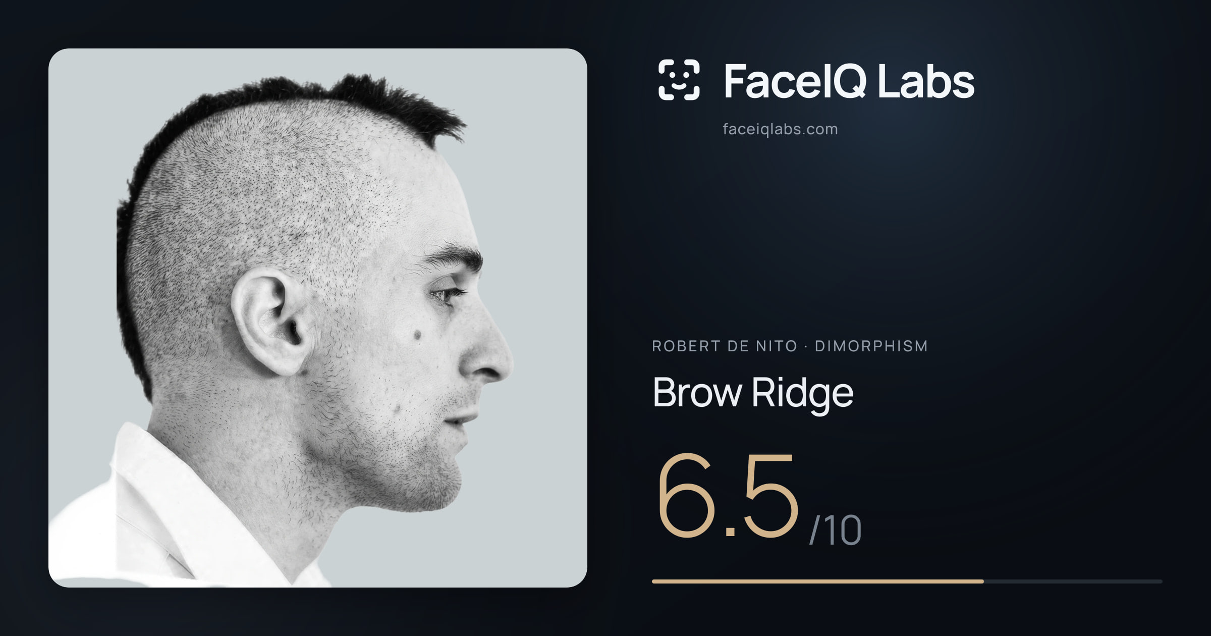 Robert De Nito Brow Ridge: 6.5/10, drawn on the photo