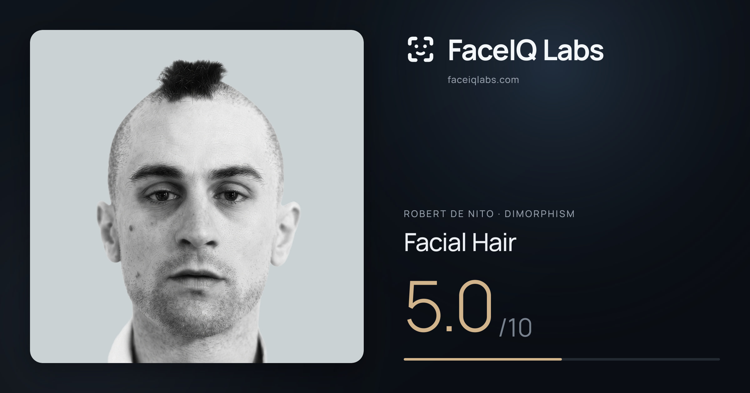 Robert De Nito Facial Hair: 5.0/10, drawn on the photo