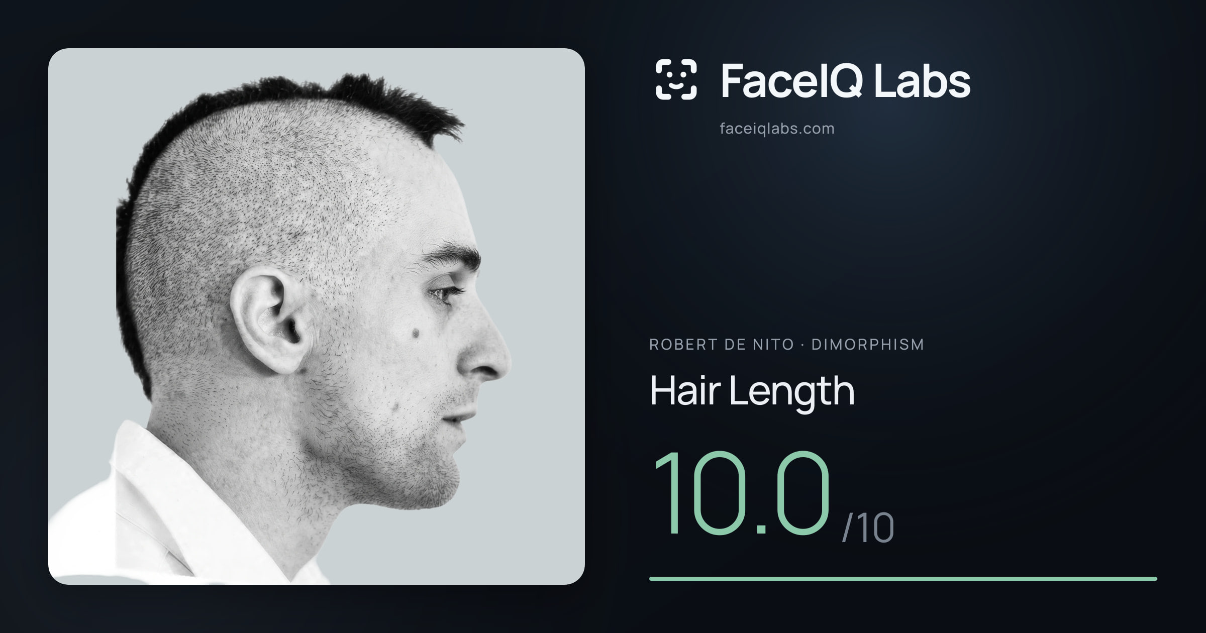 Robert De Nito Hair Length: 10.0/10, drawn on the photo