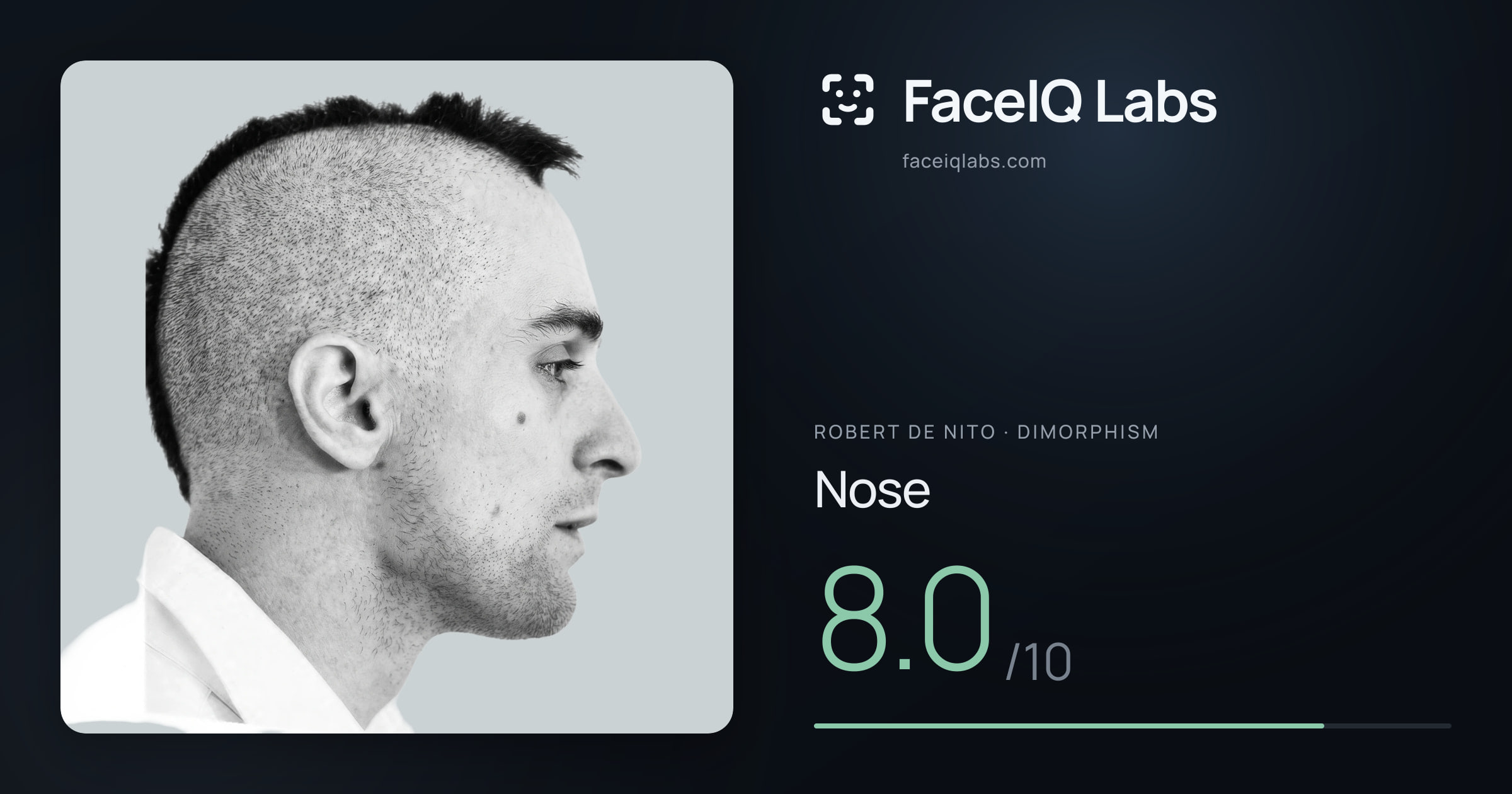 Robert De Nito Nose: 8.0/10, drawn on the photo