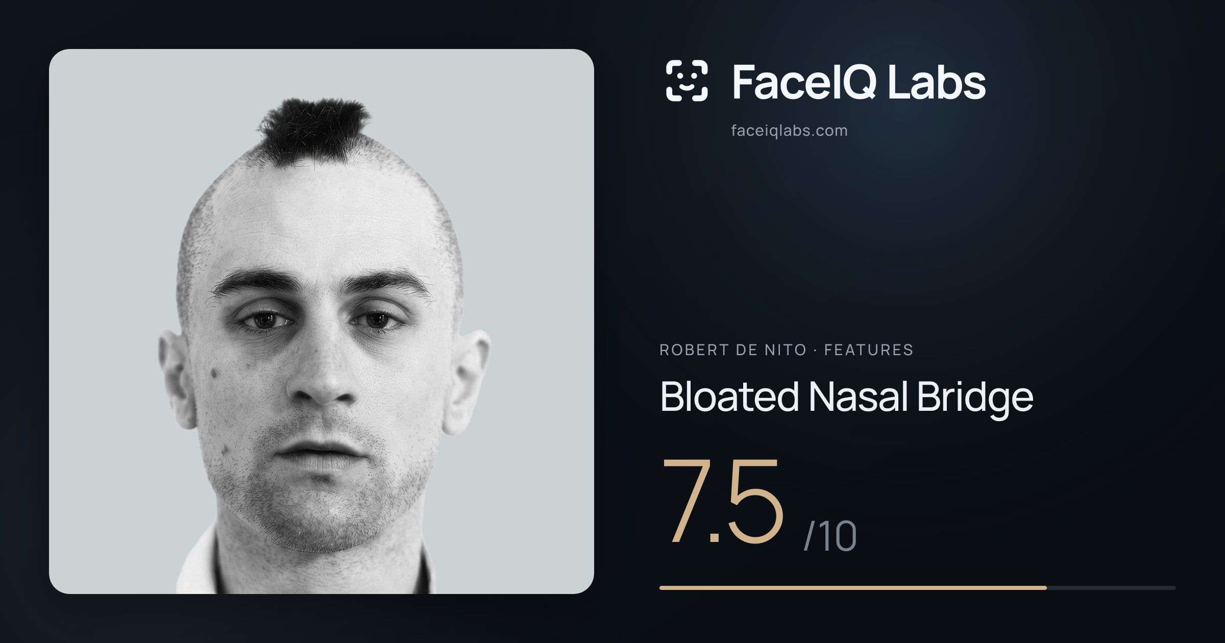 Robert De Nito Bloated Nasal Bridge: 7.5/10, drawn on the photo