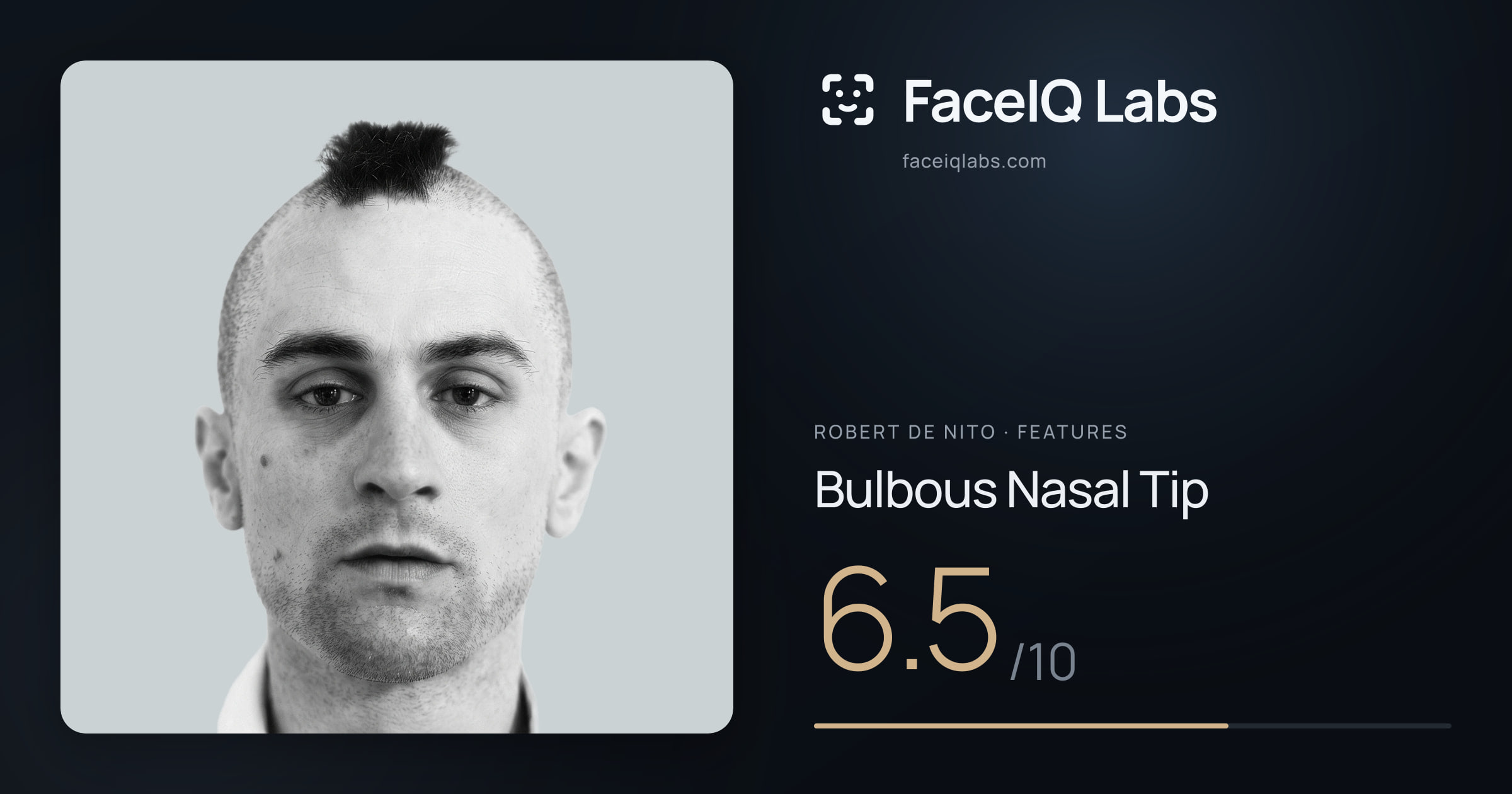 Robert De Nito Bulbous Nasal Tip: 6.5/10, drawn on the photo