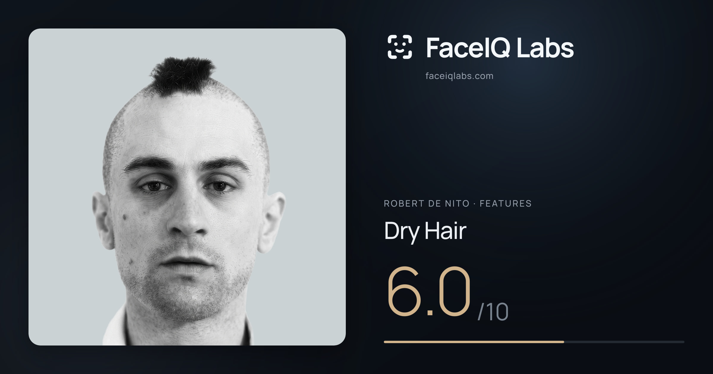 Robert De Nito Dry Hair: 6.0/10, drawn on the photo