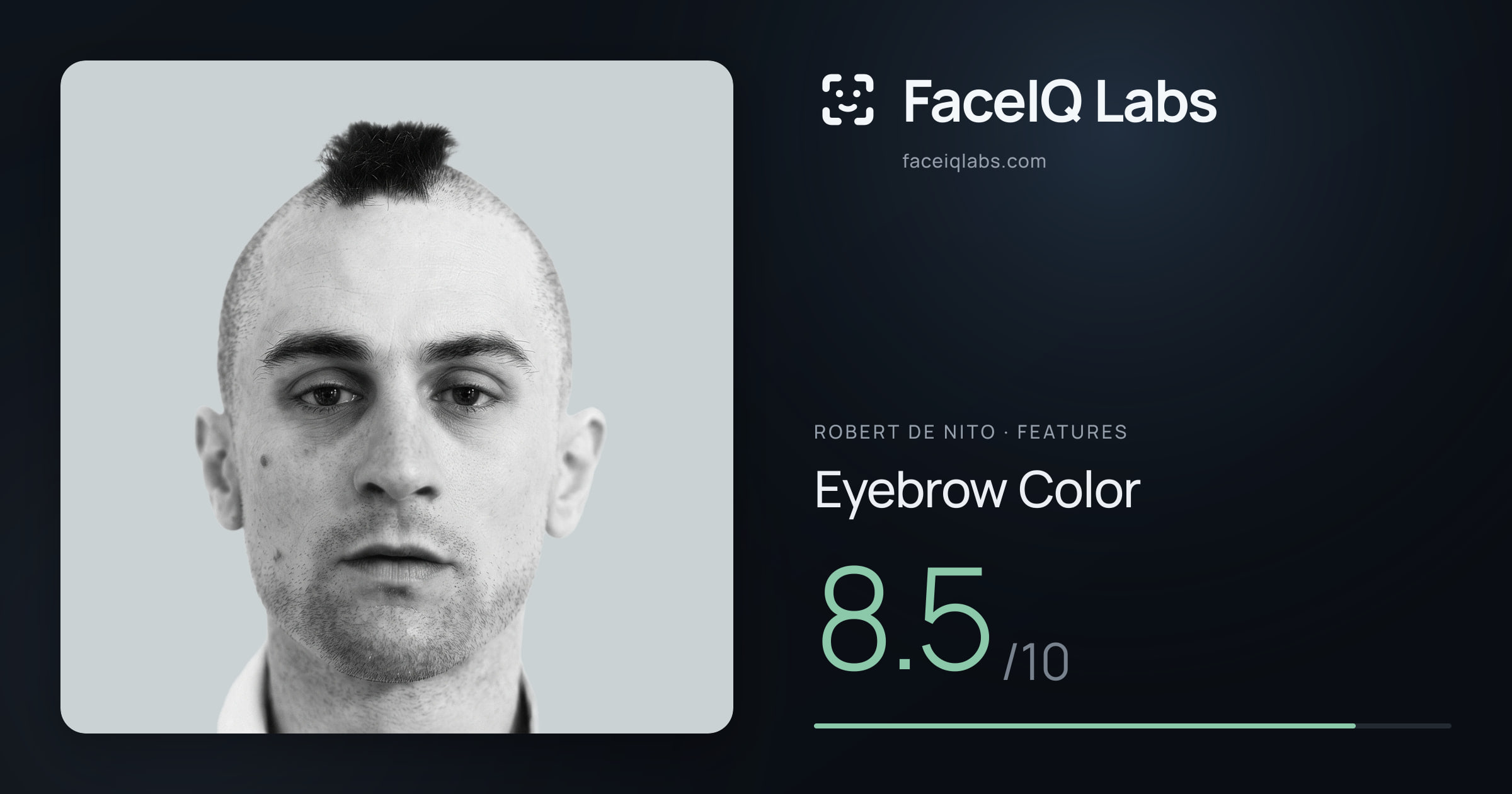 Robert De Nito Eyebrow Color: 8.5/10, drawn on the photo