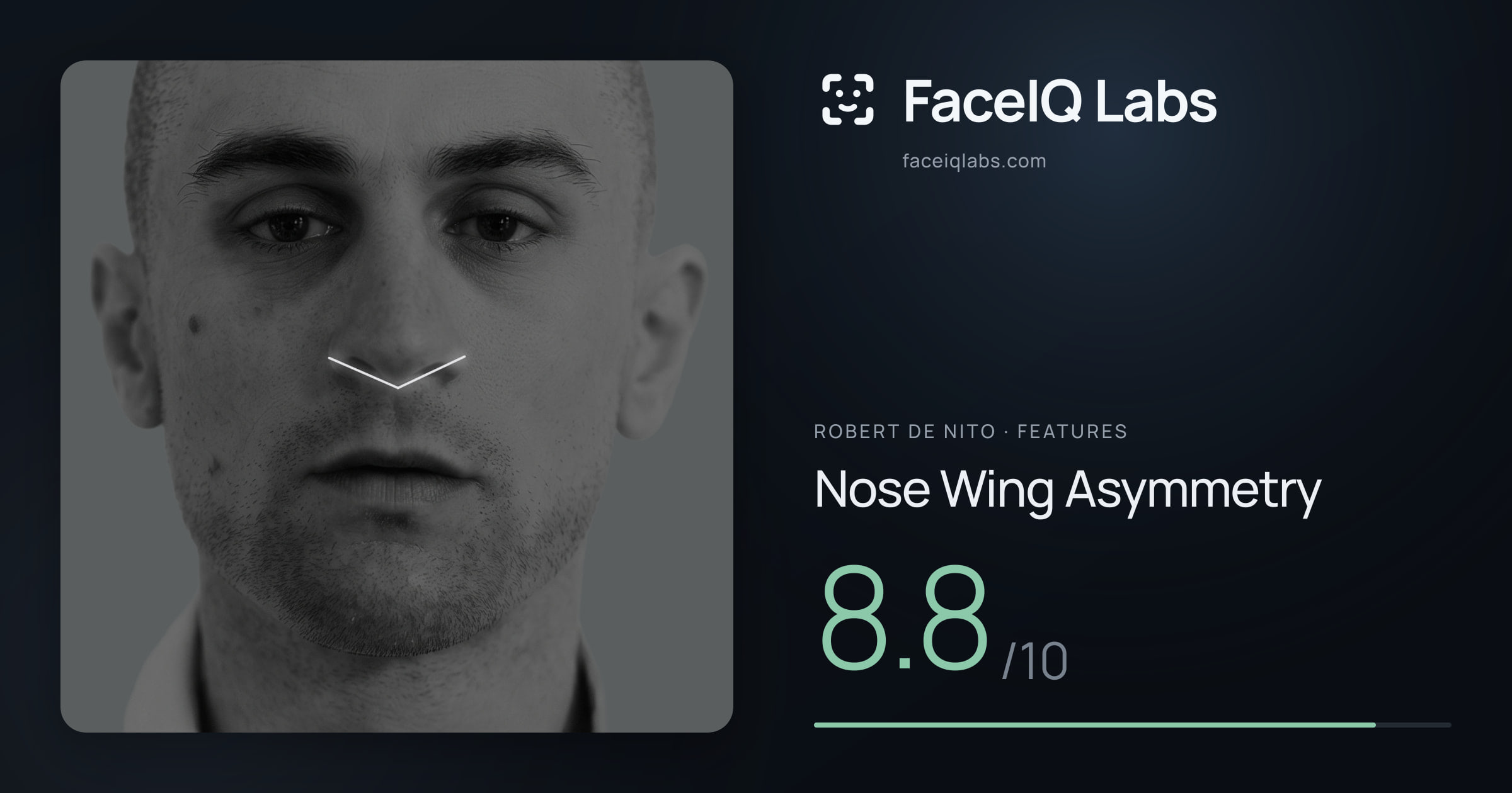 Robert De Nito Nose Wing Asymmetry: 8.8/10, drawn on the photo