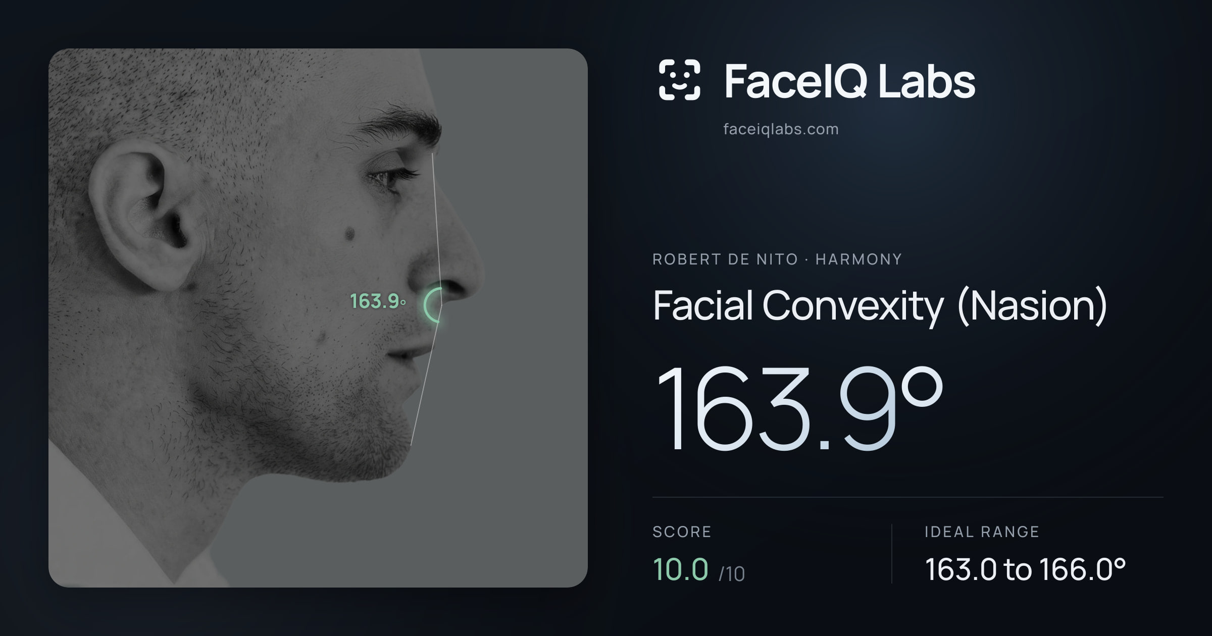 Robert De Nito Facial Convexity (Nasion): 163.9°, drawn on the photo