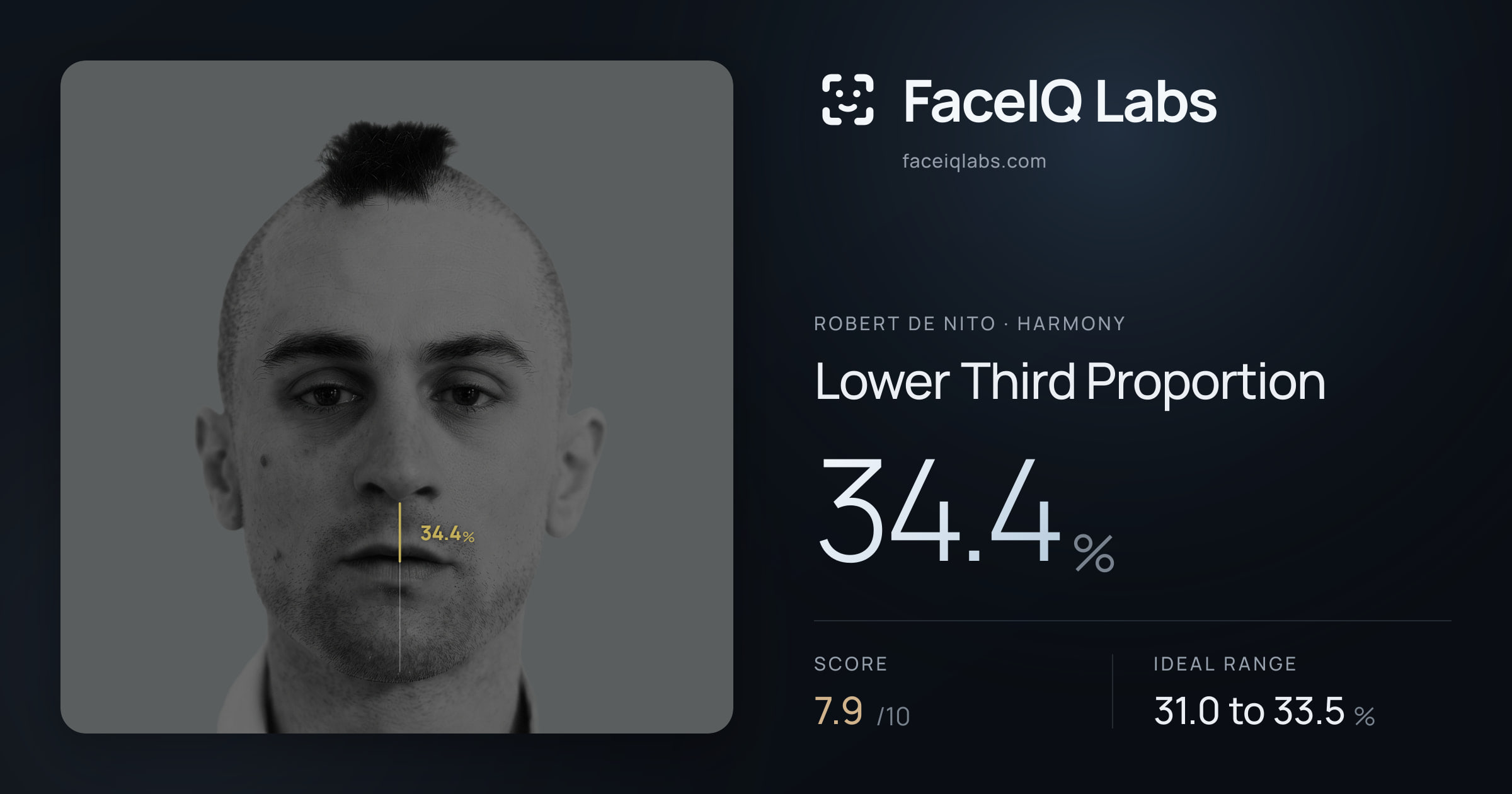 Robert De Nito Lower Third Proportion: 34.4%, drawn on the photo