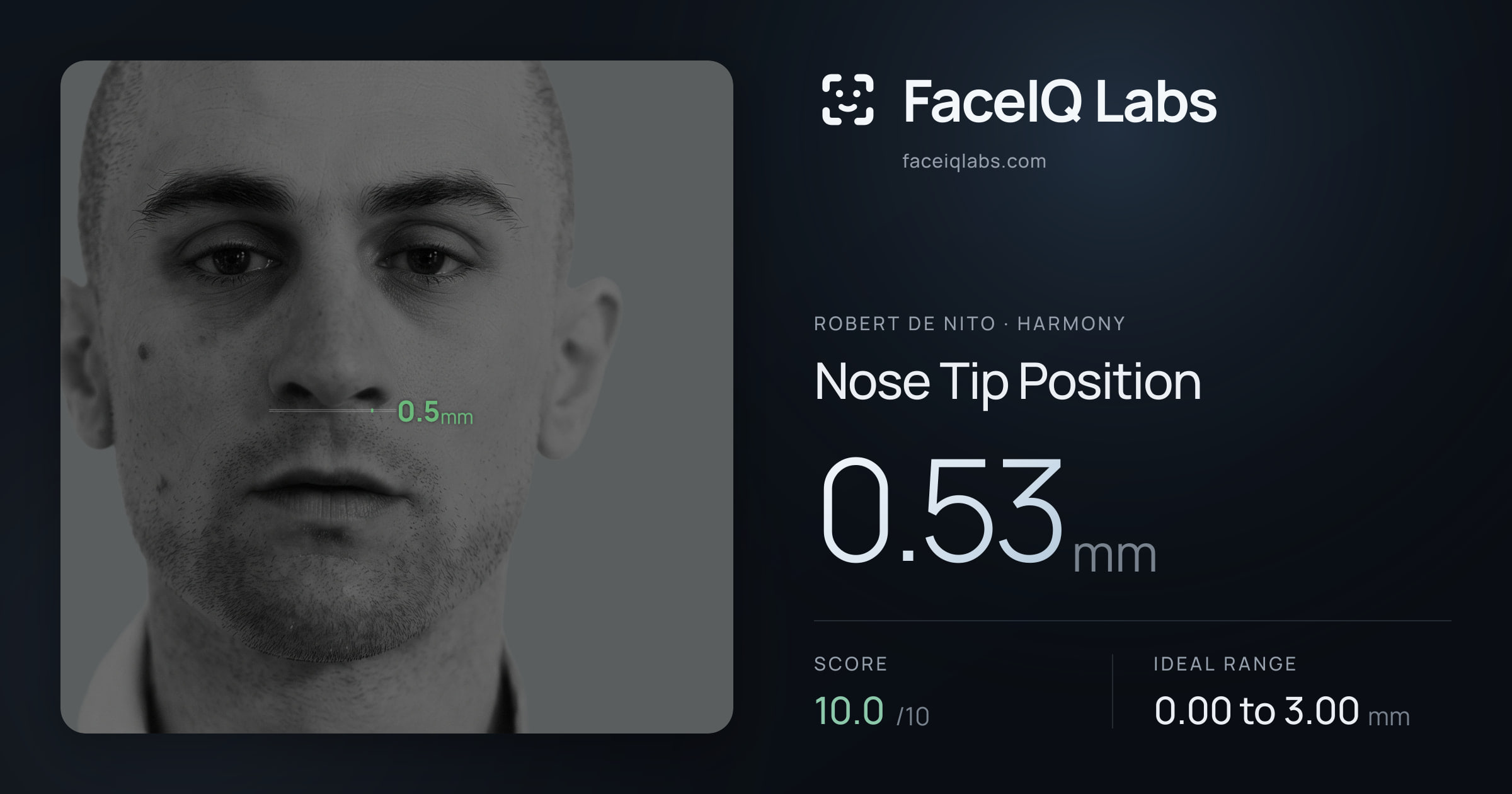 Robert De Nito Nose Tip Position: 0.53mm, drawn on the photo