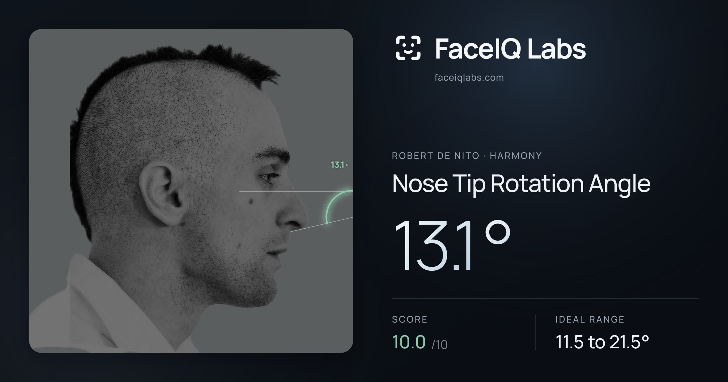 Robert De Nito Nose Tip Rotation Angle: 13.1°, drawn on the photo
