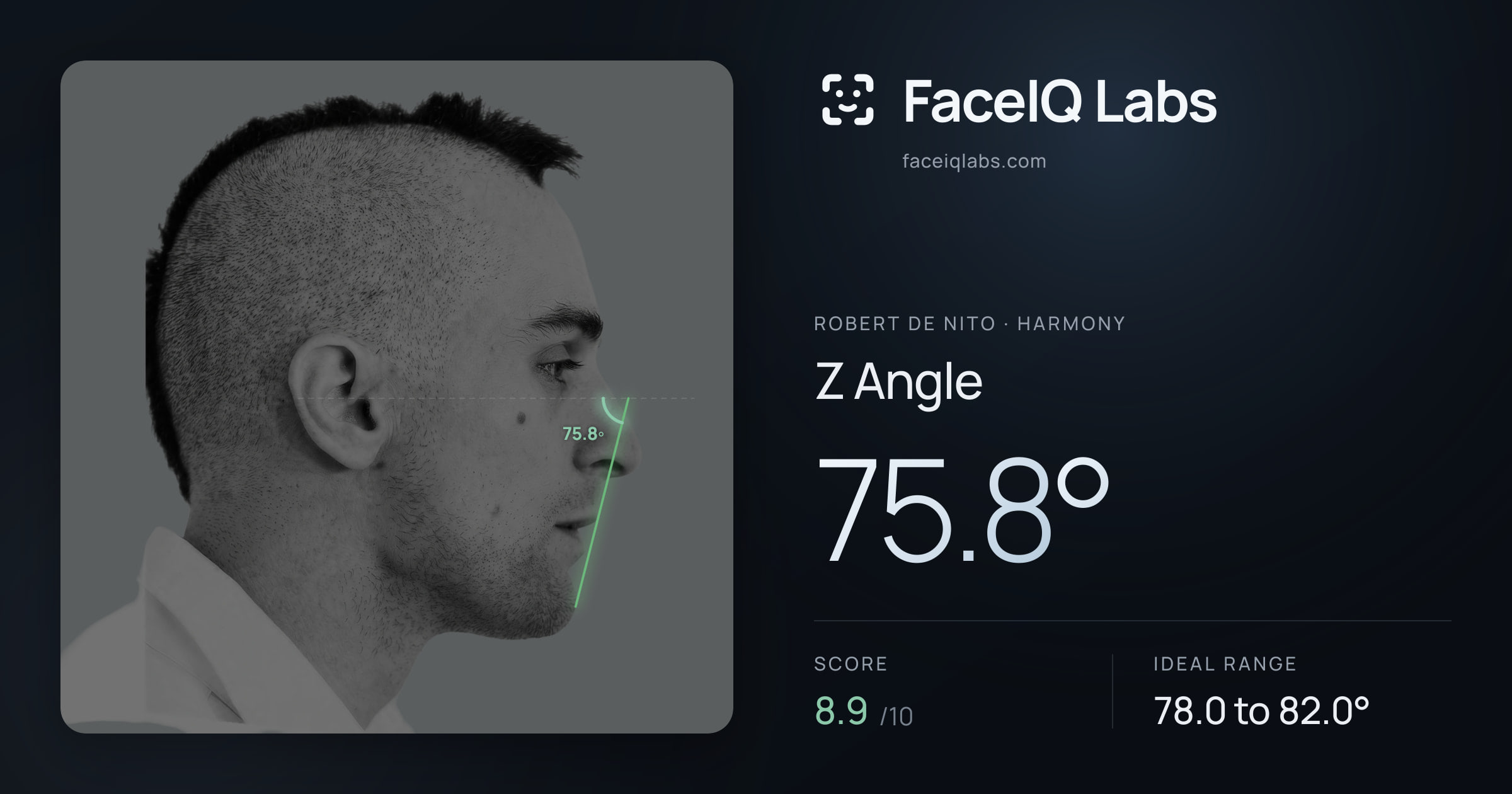Robert De Nito Z Angle: 75.8°, drawn on the photo