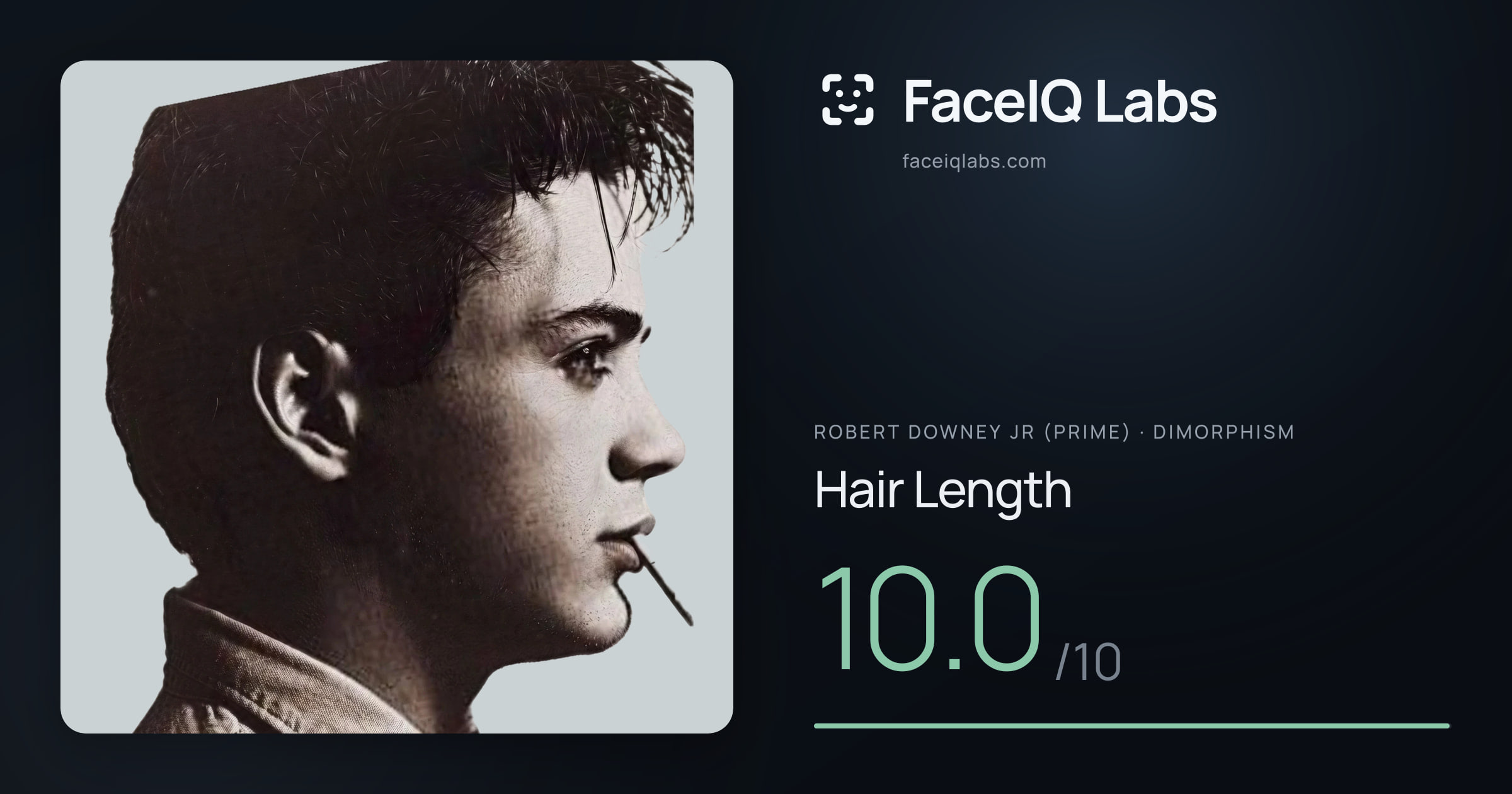 Robert Downey Jr (Prime) Hair Length: 10.0/10, drawn on the photo
