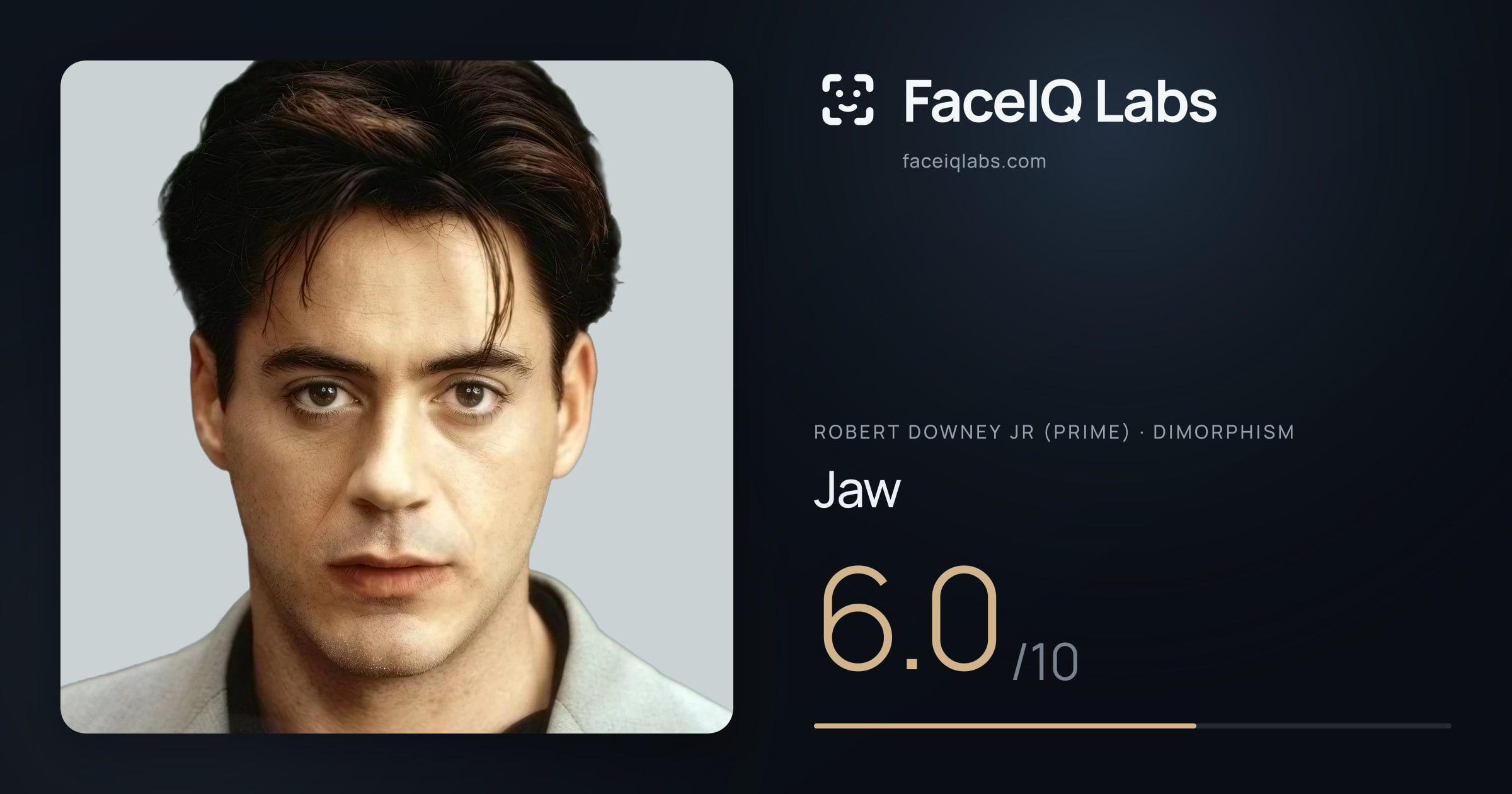 Robert Downey Jr (Prime) Jaw: 6.0/10, drawn on the photo