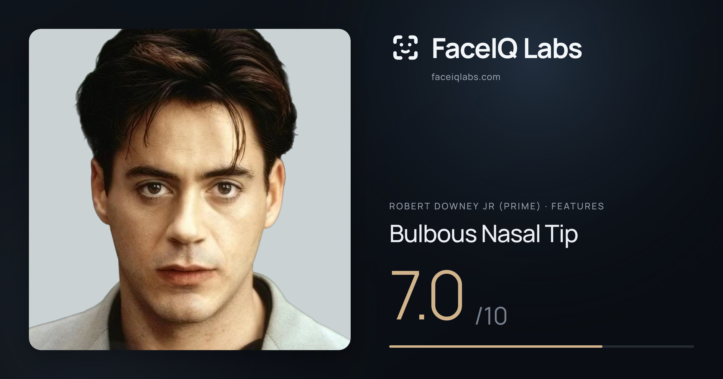 Robert Downey Jr (Prime) Bulbous Nasal Tip: 7.0/10, drawn on the photo