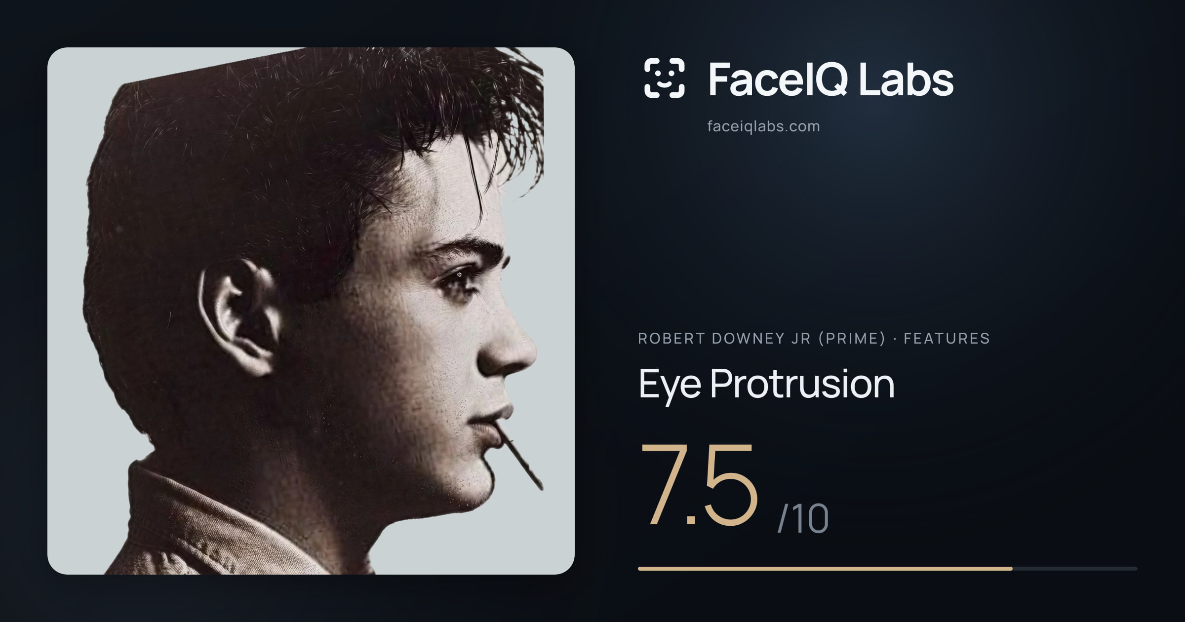 Robert Downey Jr (Prime) Eye Protrusion: 7.5/10, drawn on the photo