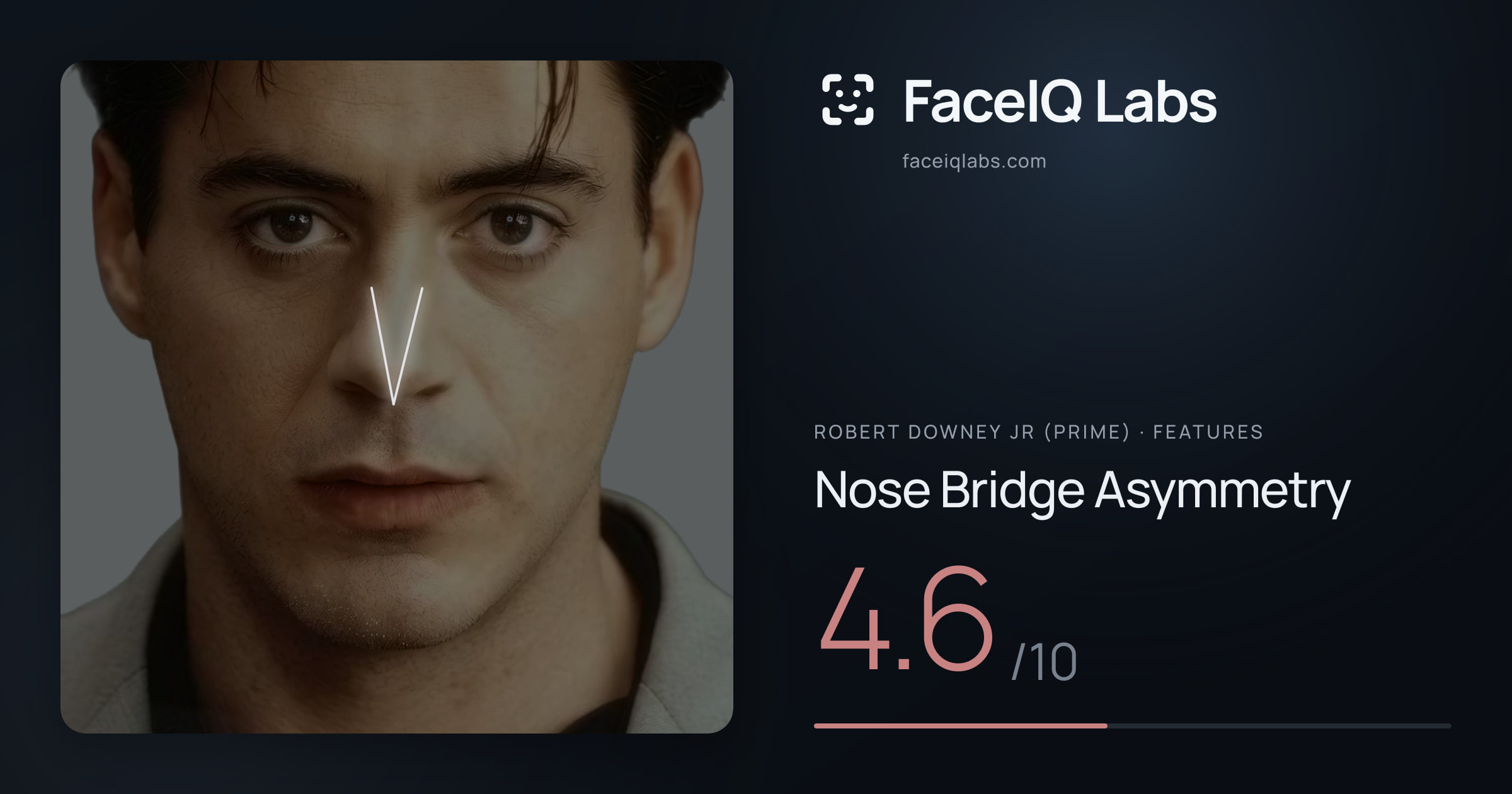 Robert Downey Jr (Prime) Nose Bridge Asymmetry: 4.6/10, drawn on the photo