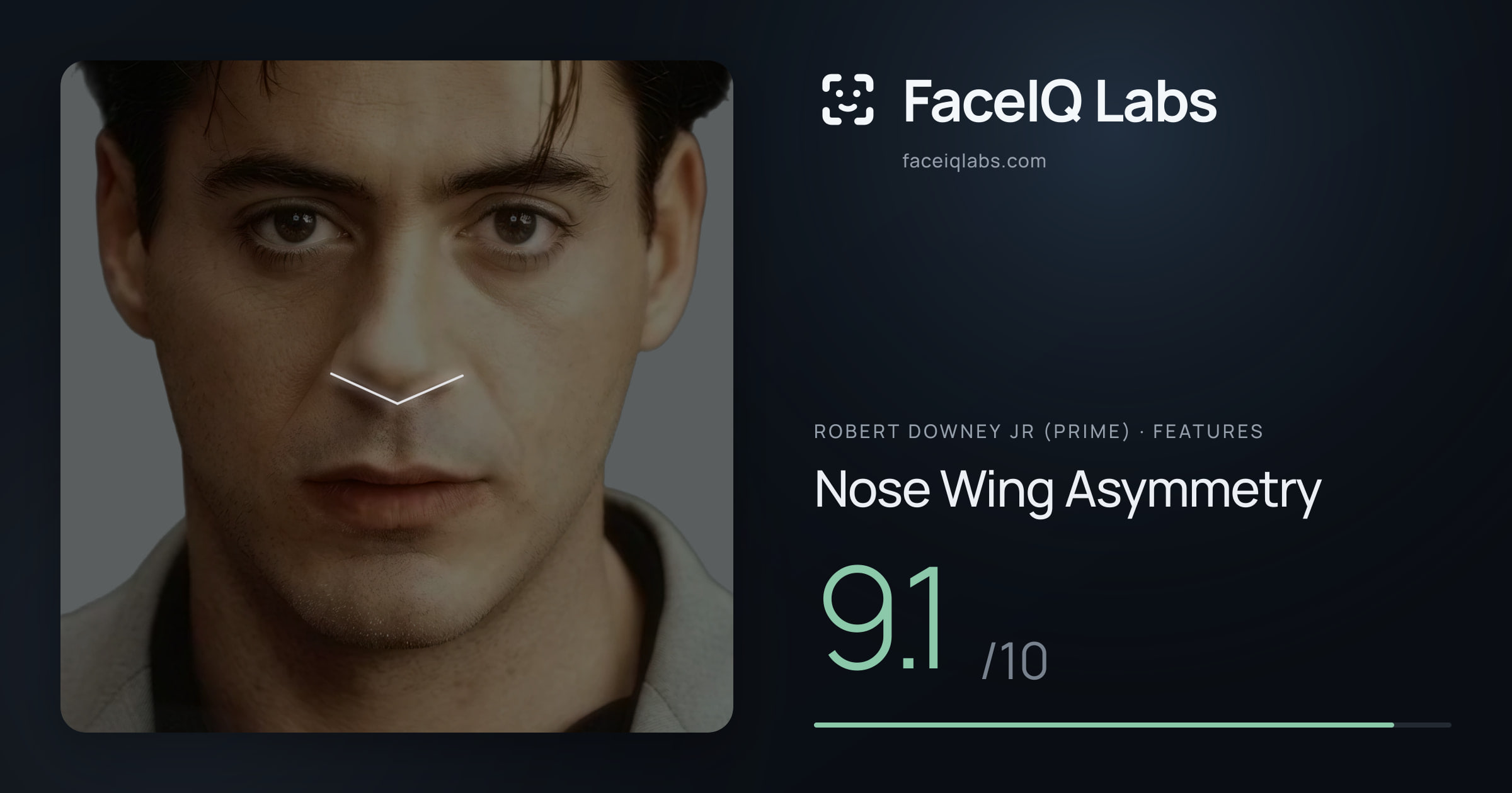 Robert Downey Jr (Prime) Nose Wing Asymmetry: 9.1/10, drawn on the photo