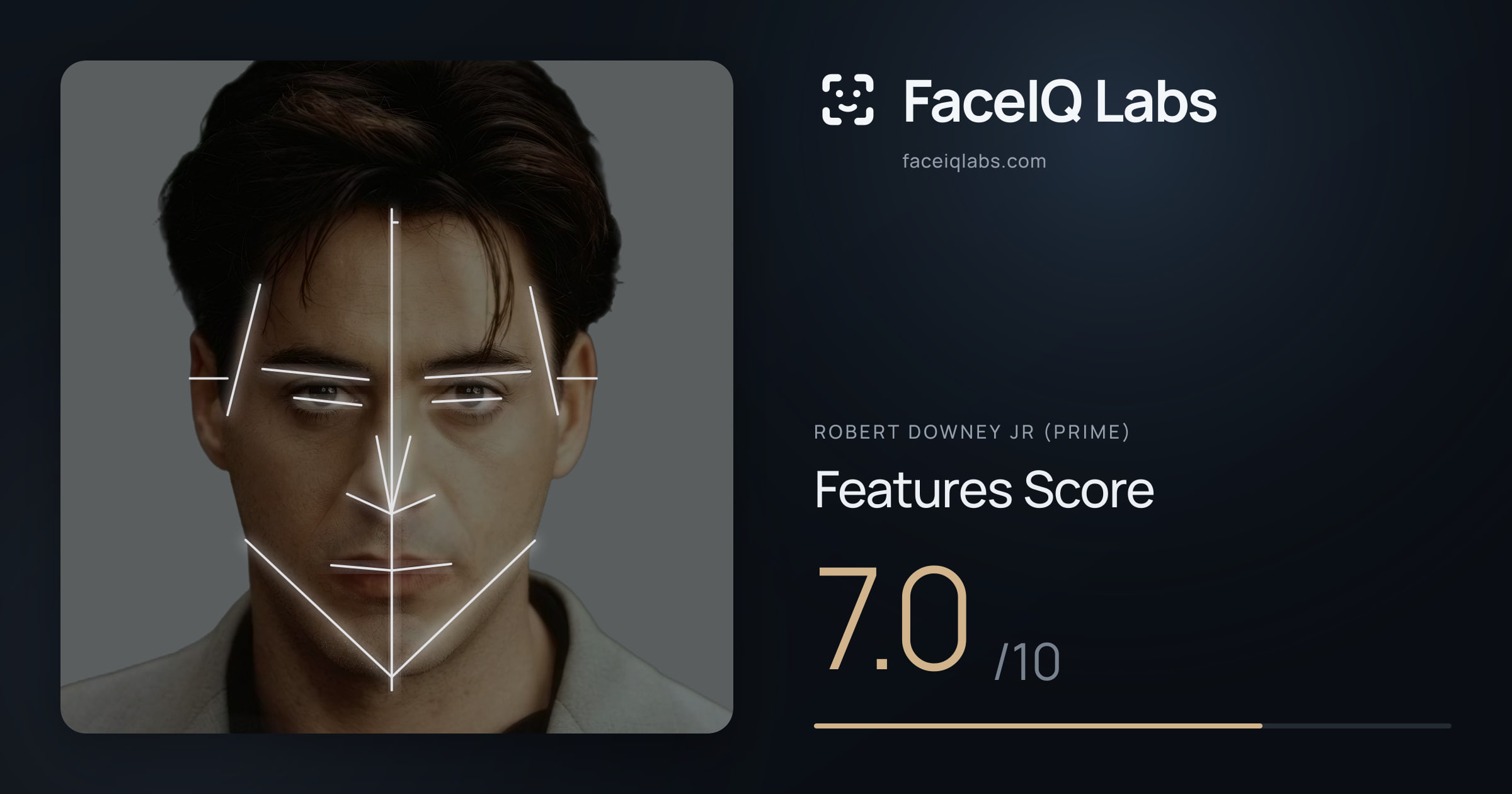 Robert Downey Jr (Prime) Features: 7.0/10, with each assessment drawn on the photo