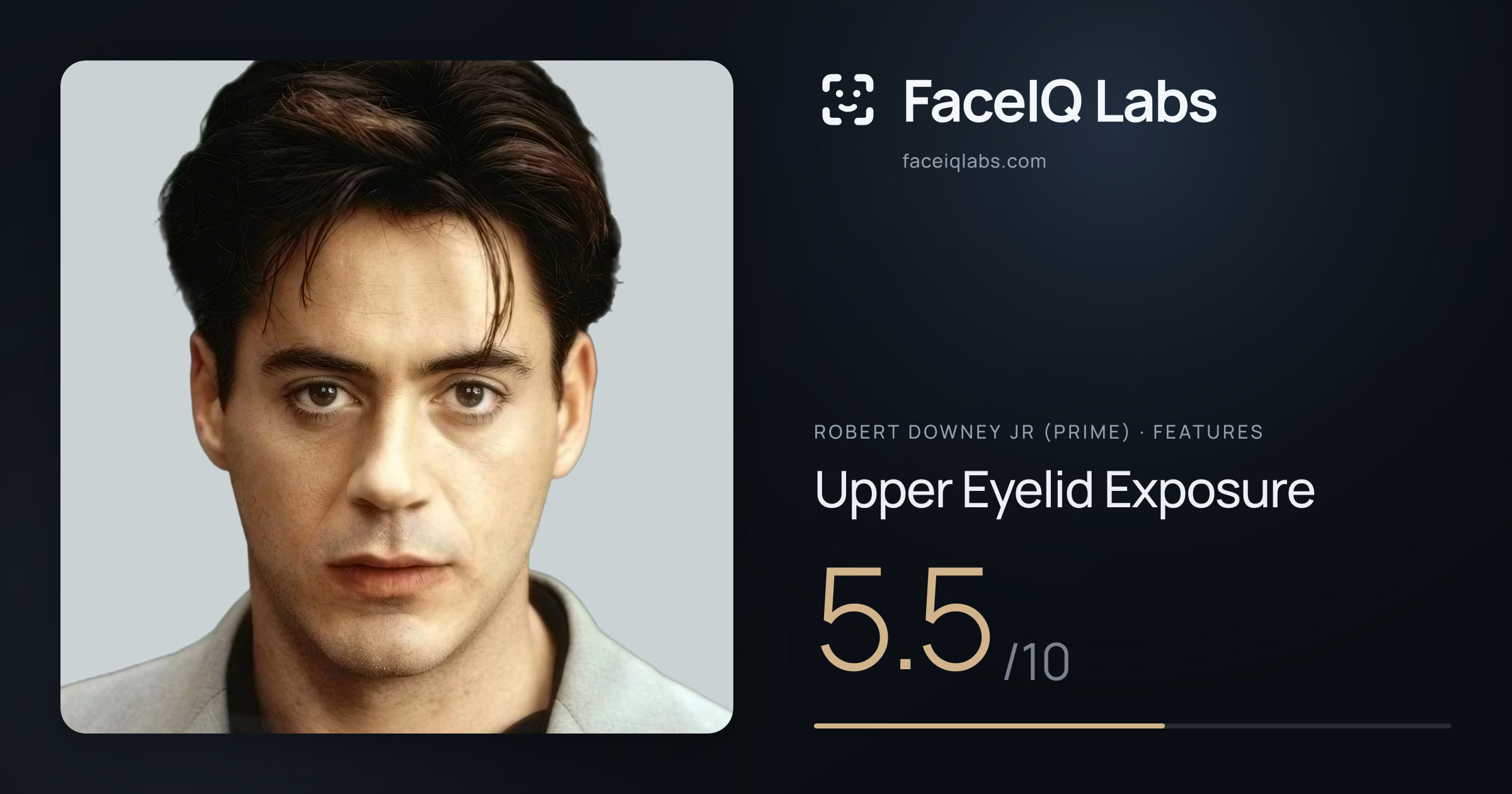 Robert Downey Jr (Prime) Upper Eyelid Exposure: 5.5/10, drawn on the photo