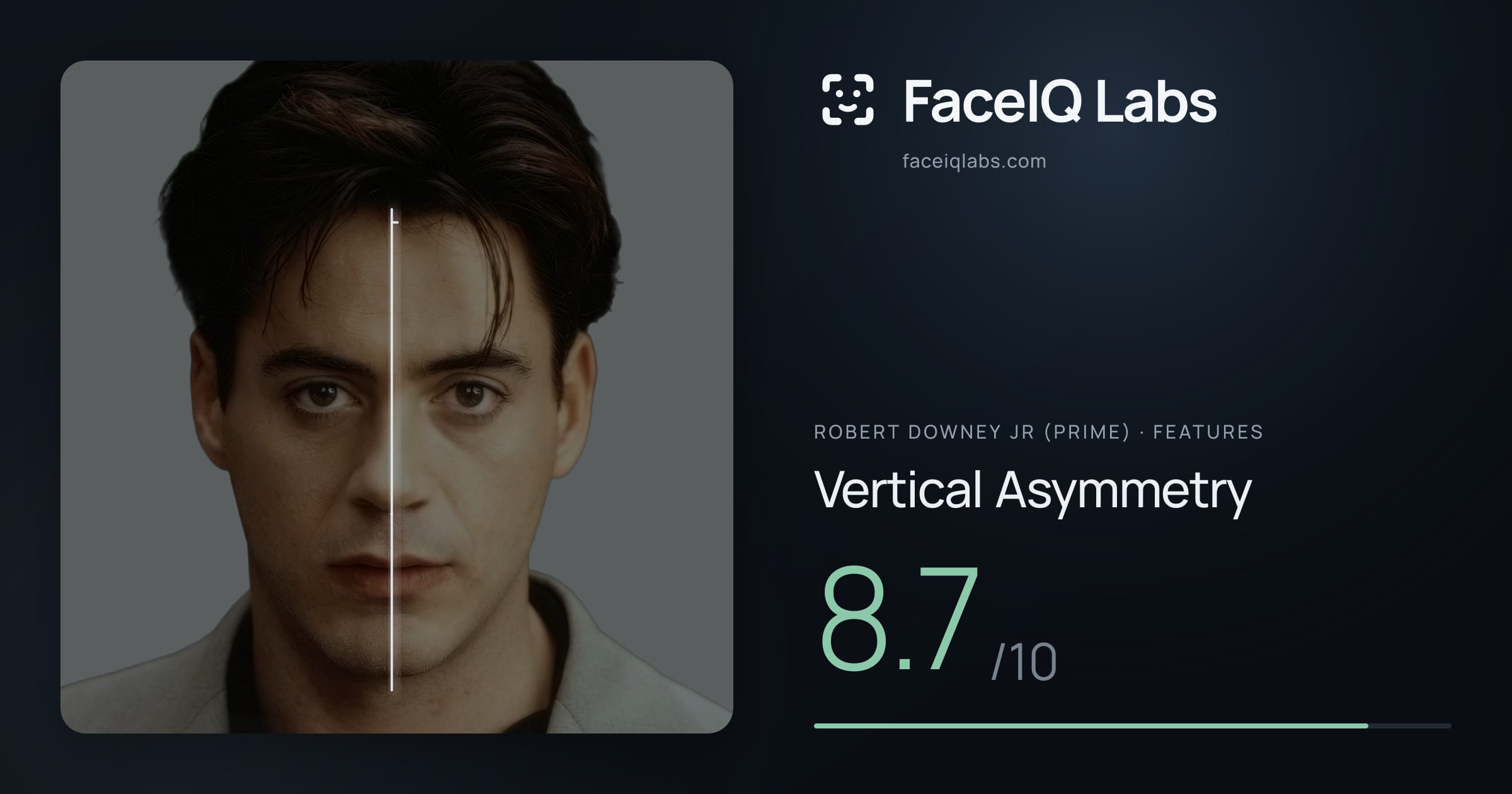 Robert Downey Jr (Prime) Vertical Asymmetry: 8.7/10, drawn on the photo