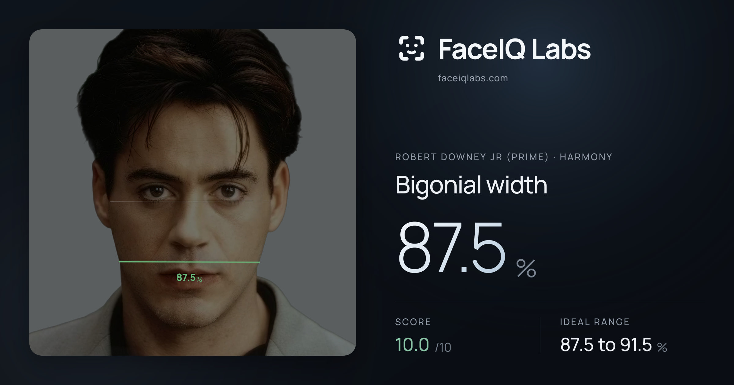 Robert Downey Jr (Prime) Bigonial width: 87.5%, drawn on the photo